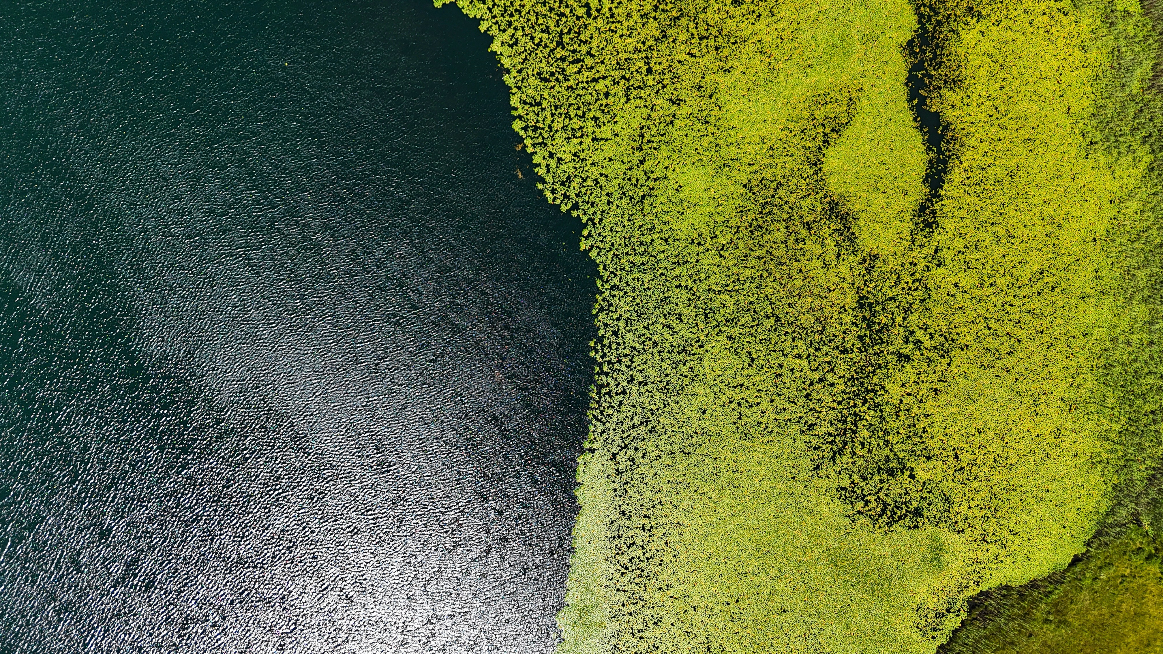 Photo by thedronallize