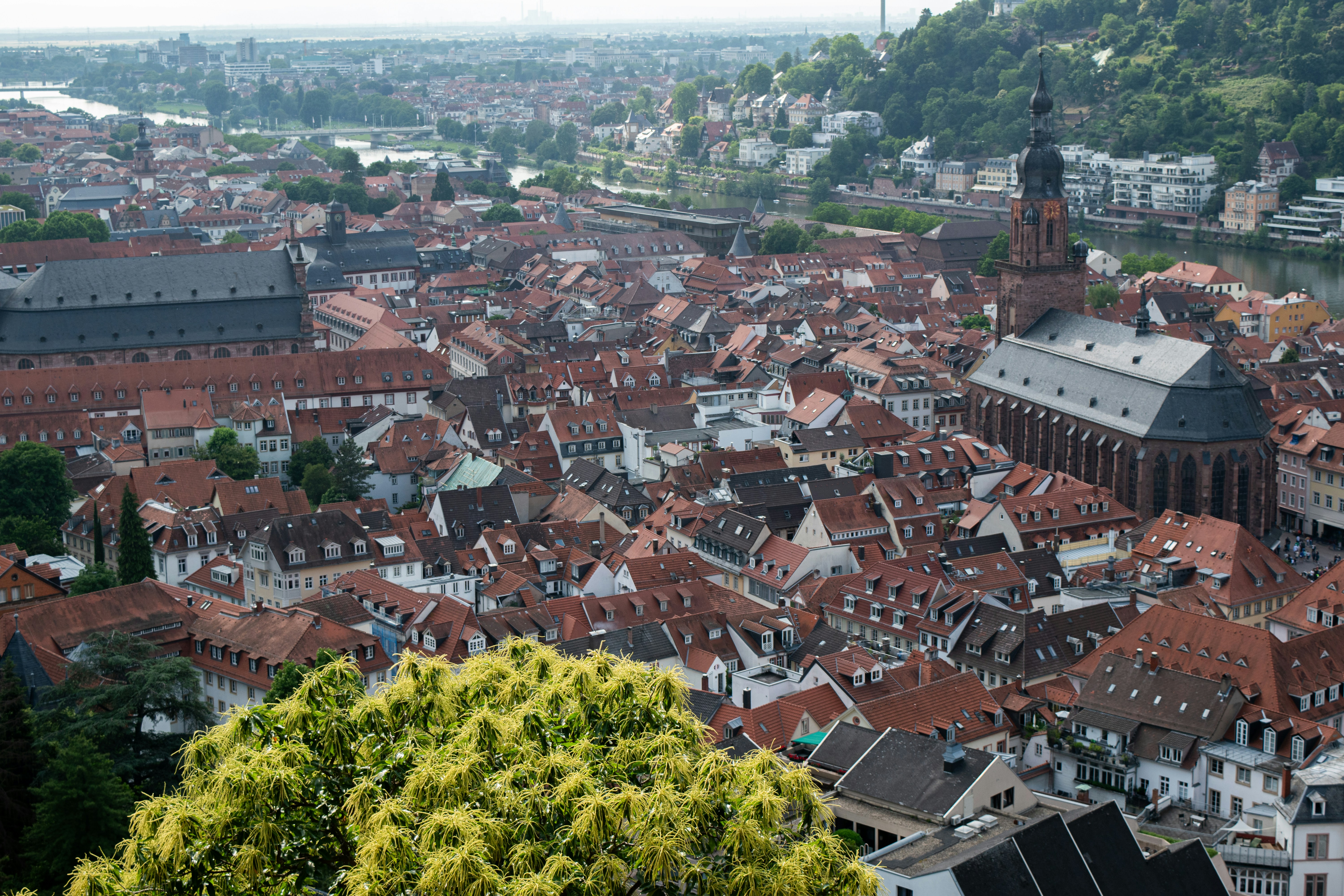 Image by Ahmed Slimene via Unsplash