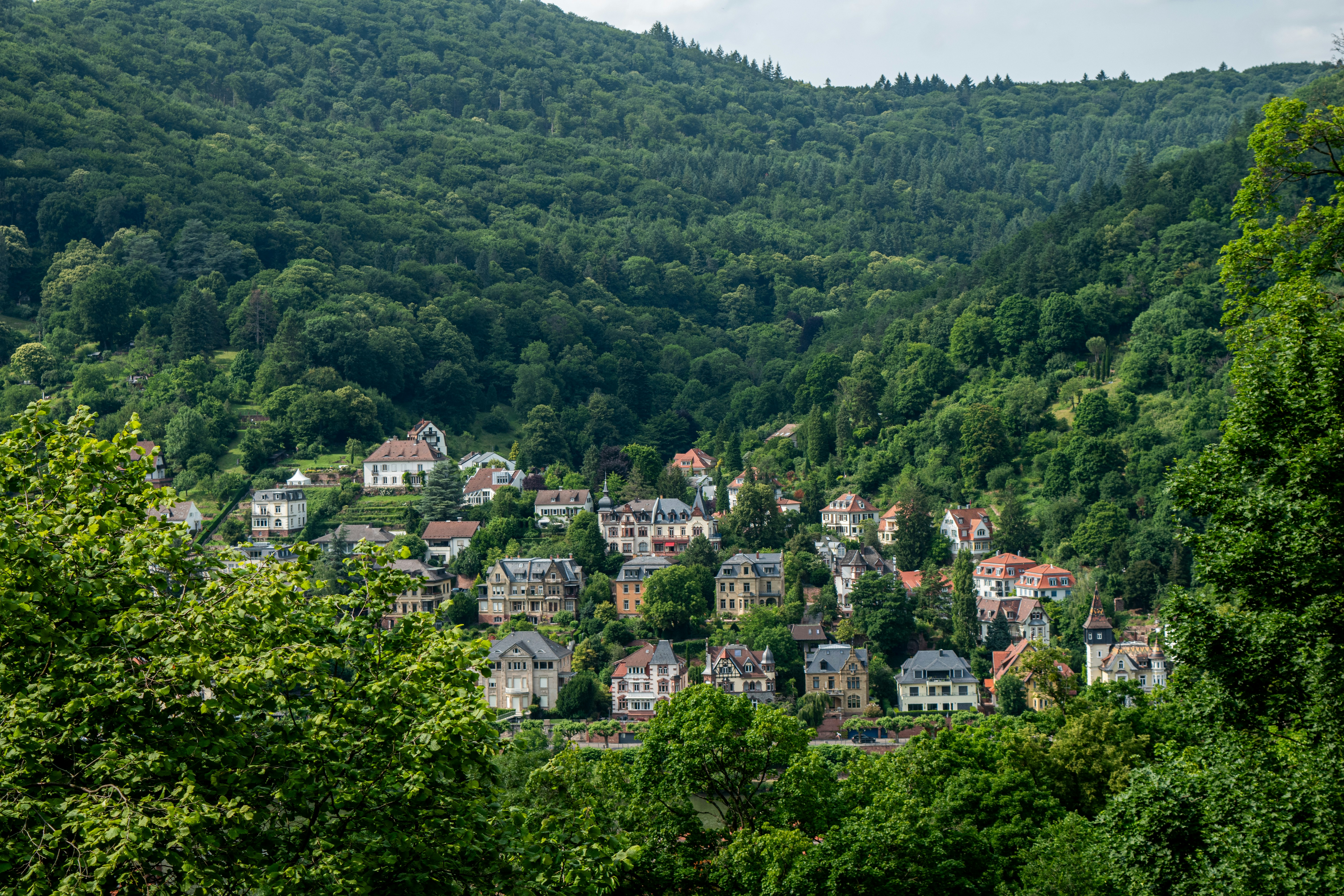 Photo by ahmed_sl___