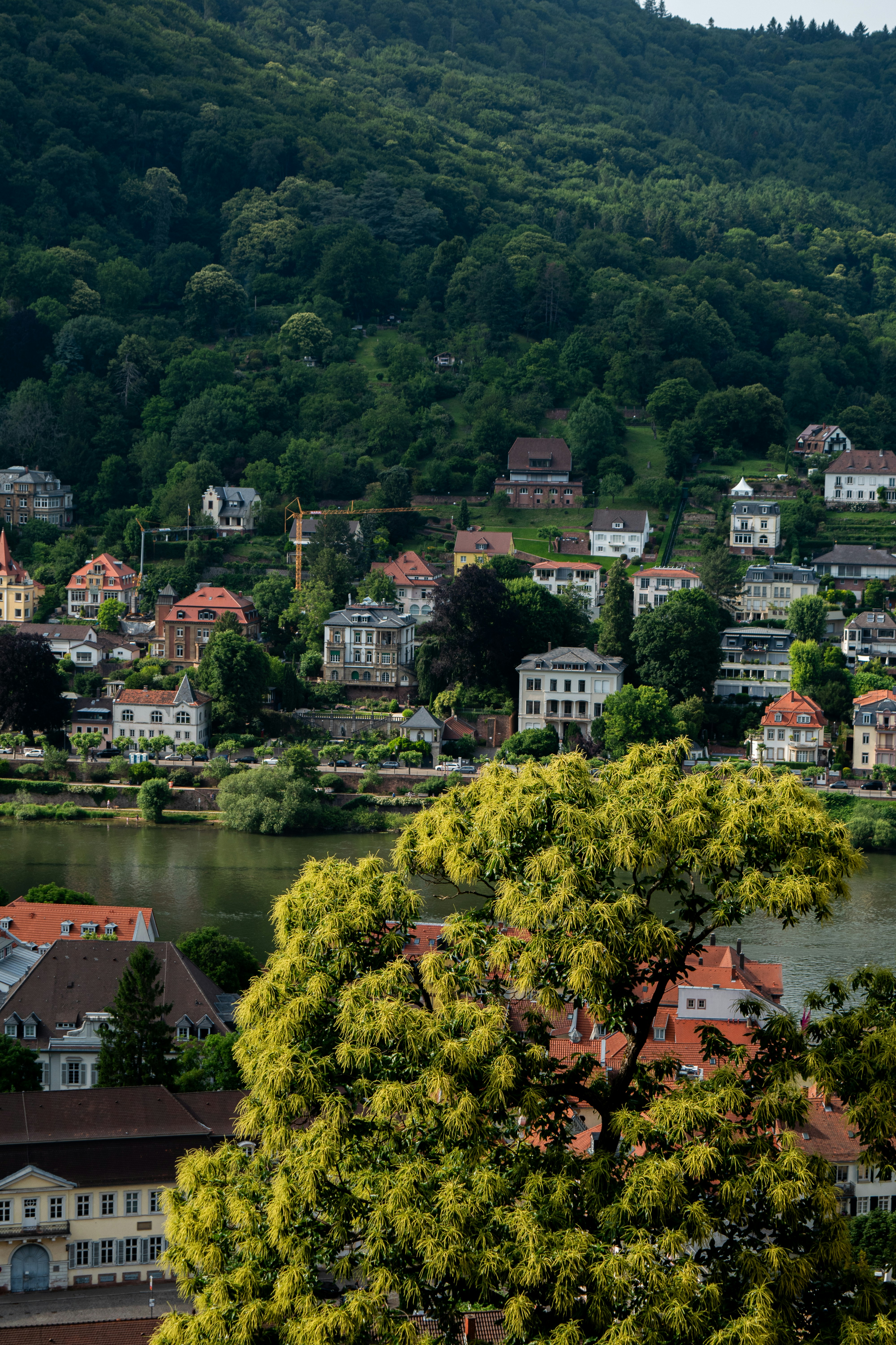 Photo by ahmed_sl___