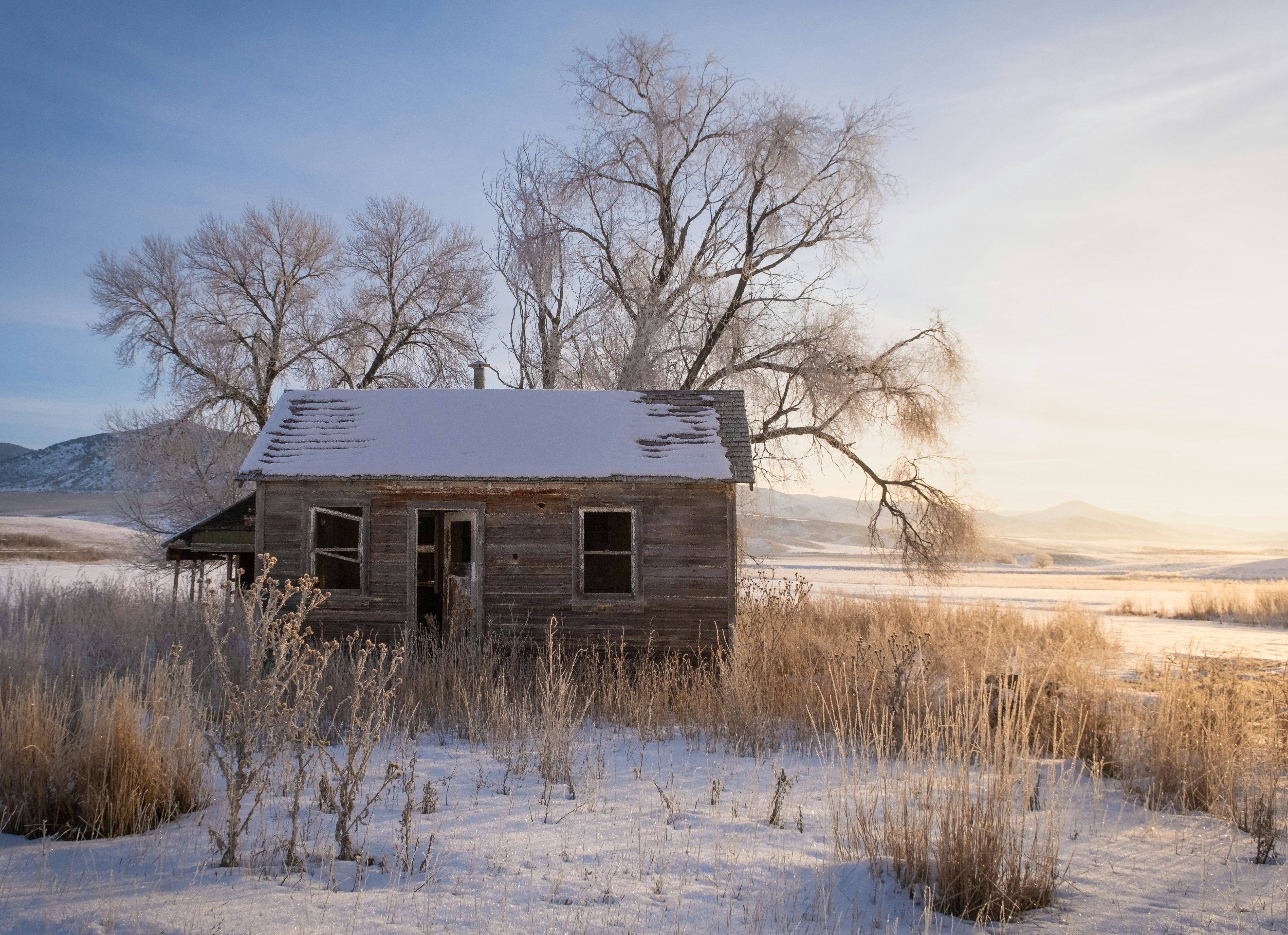 Photo by donald_merrill