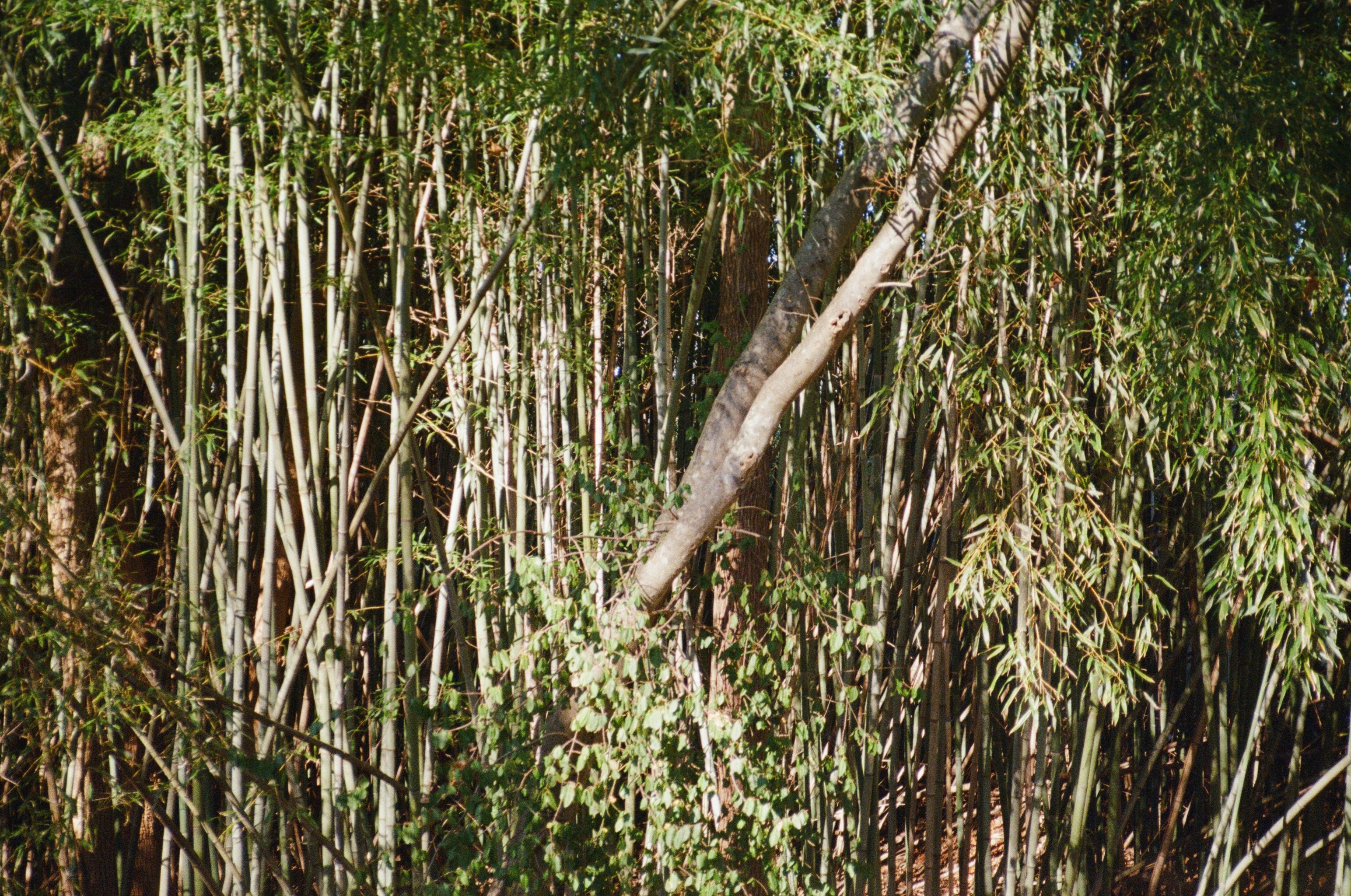 Photo by abigailskaar