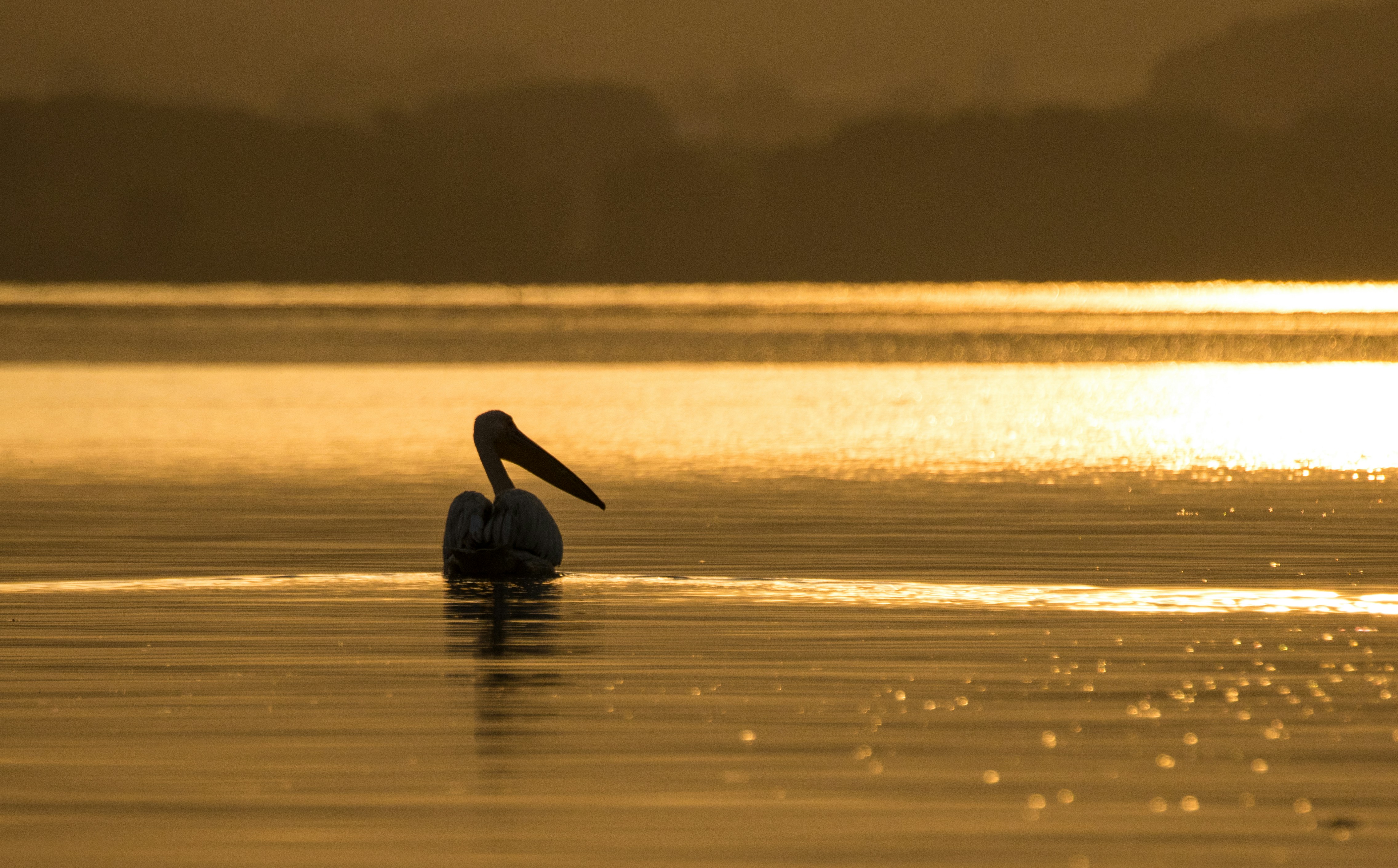 Photo by spyros_skareas