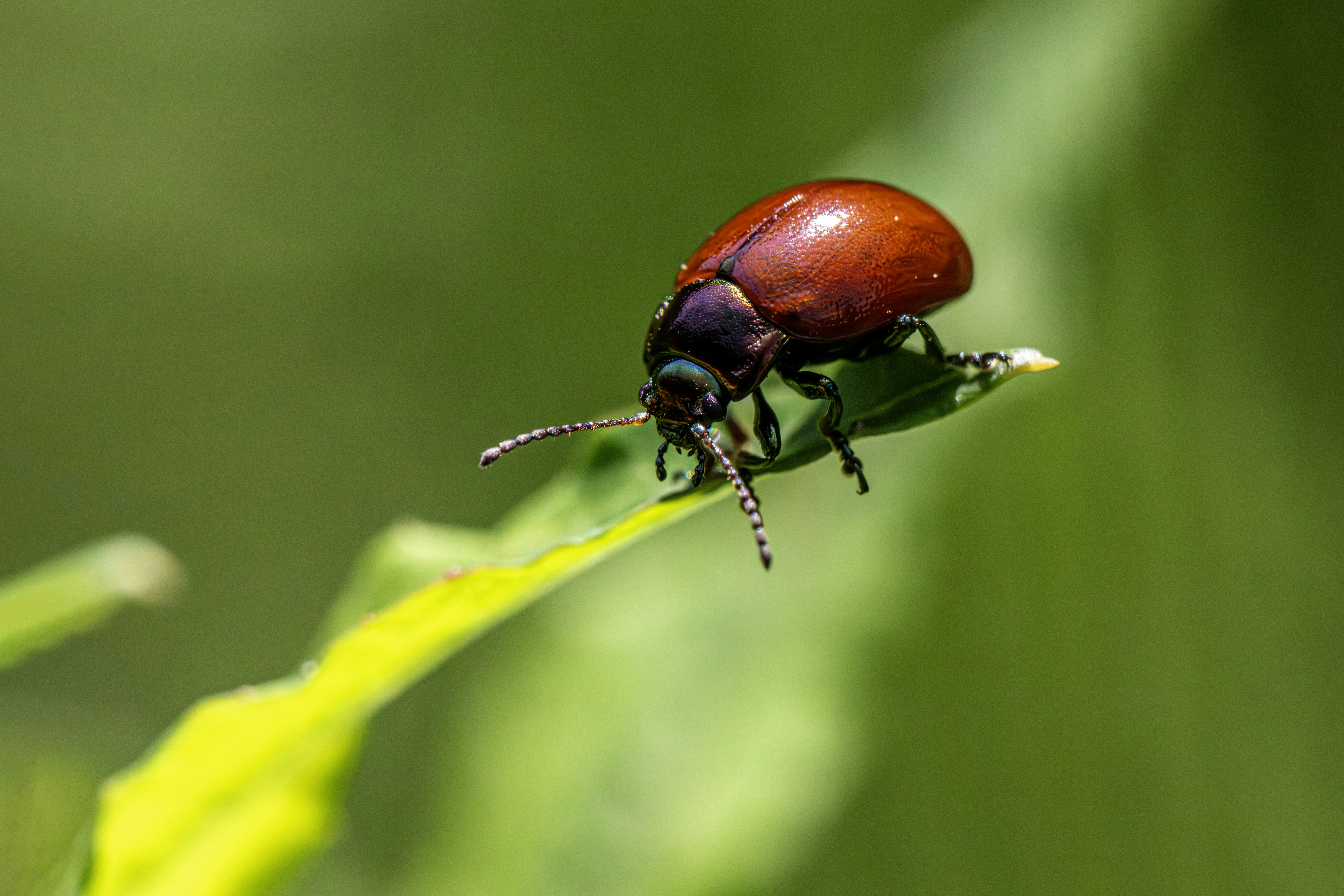 Photo by erik_karits