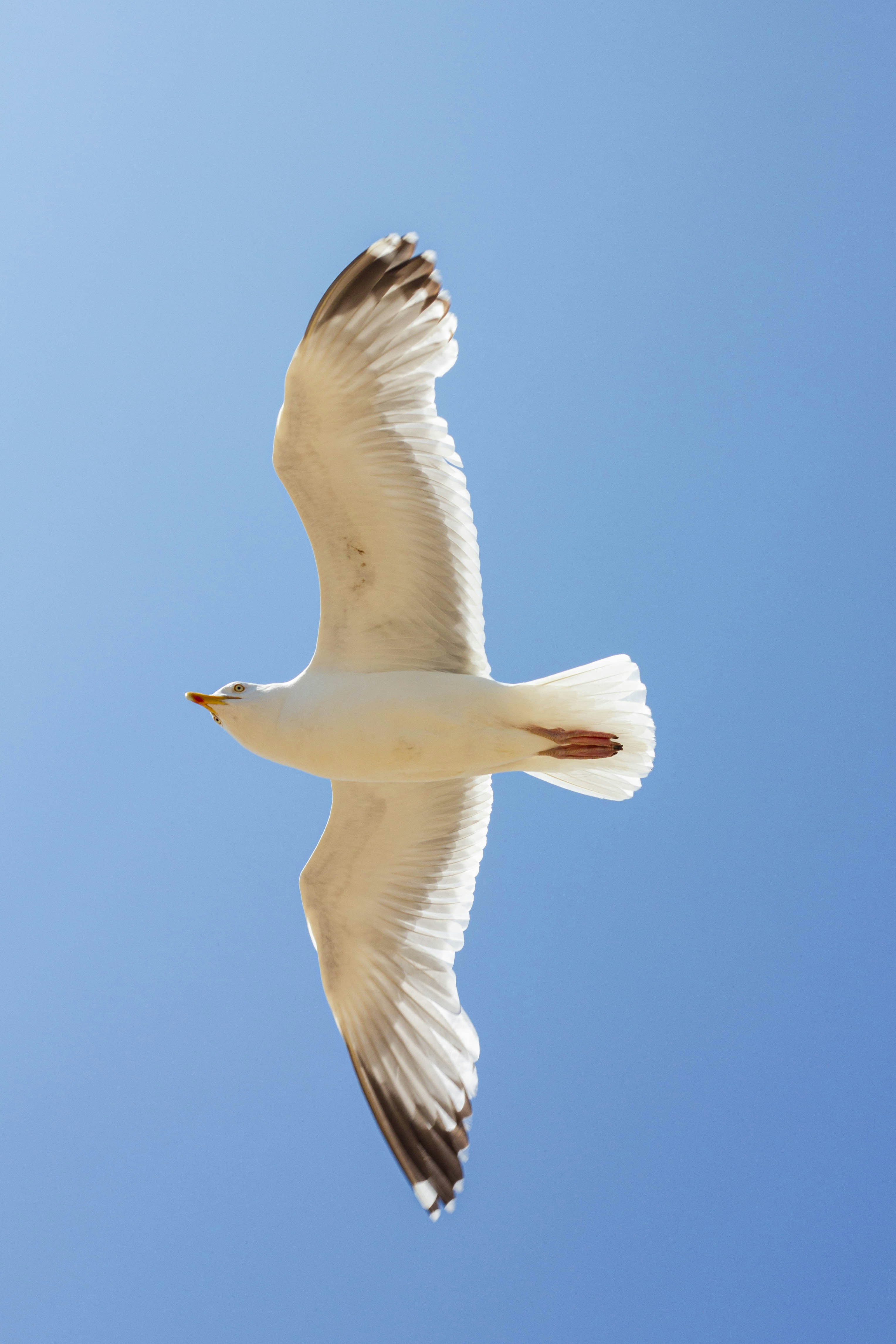 Photo by isaacwithers