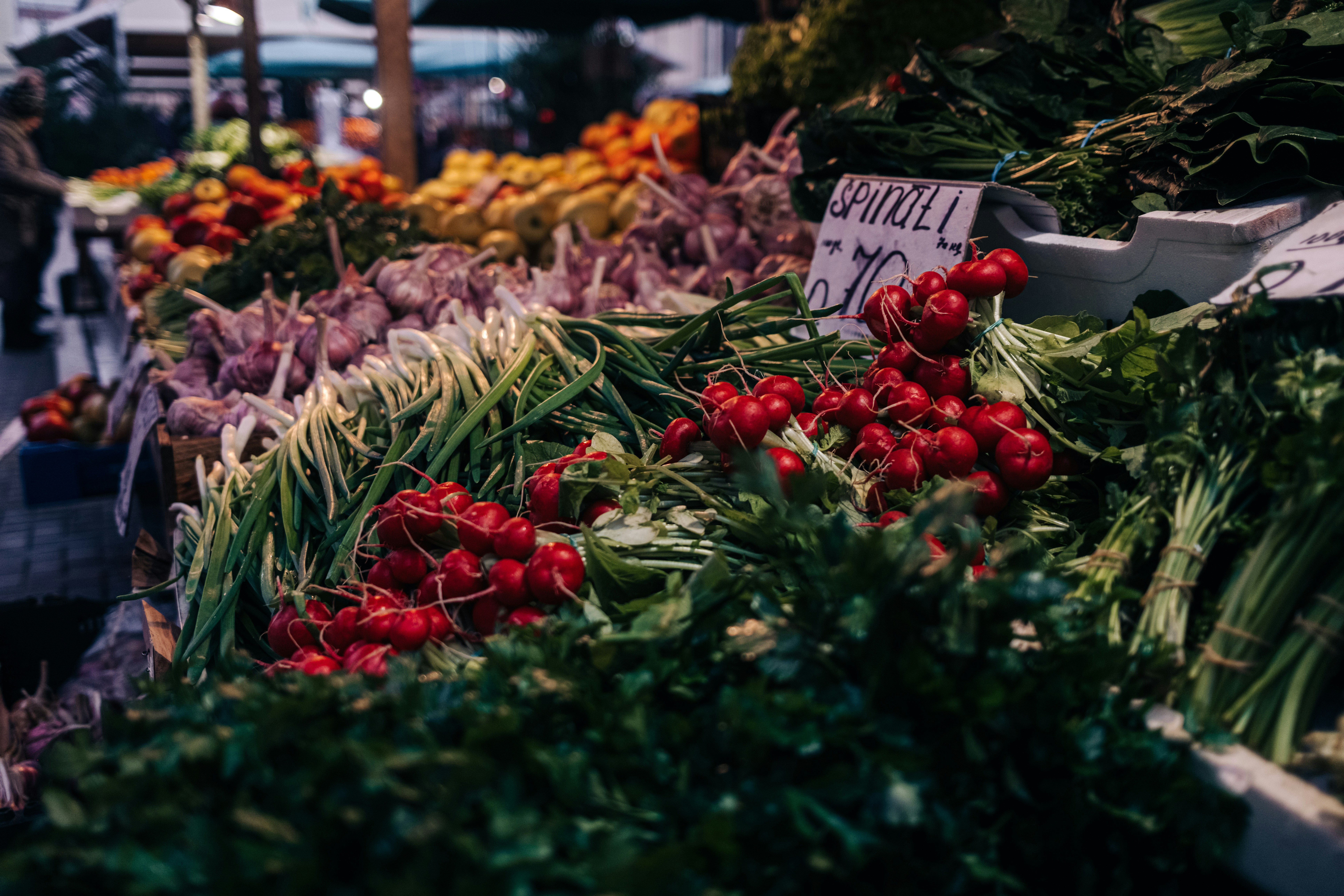 Photo by virussinside