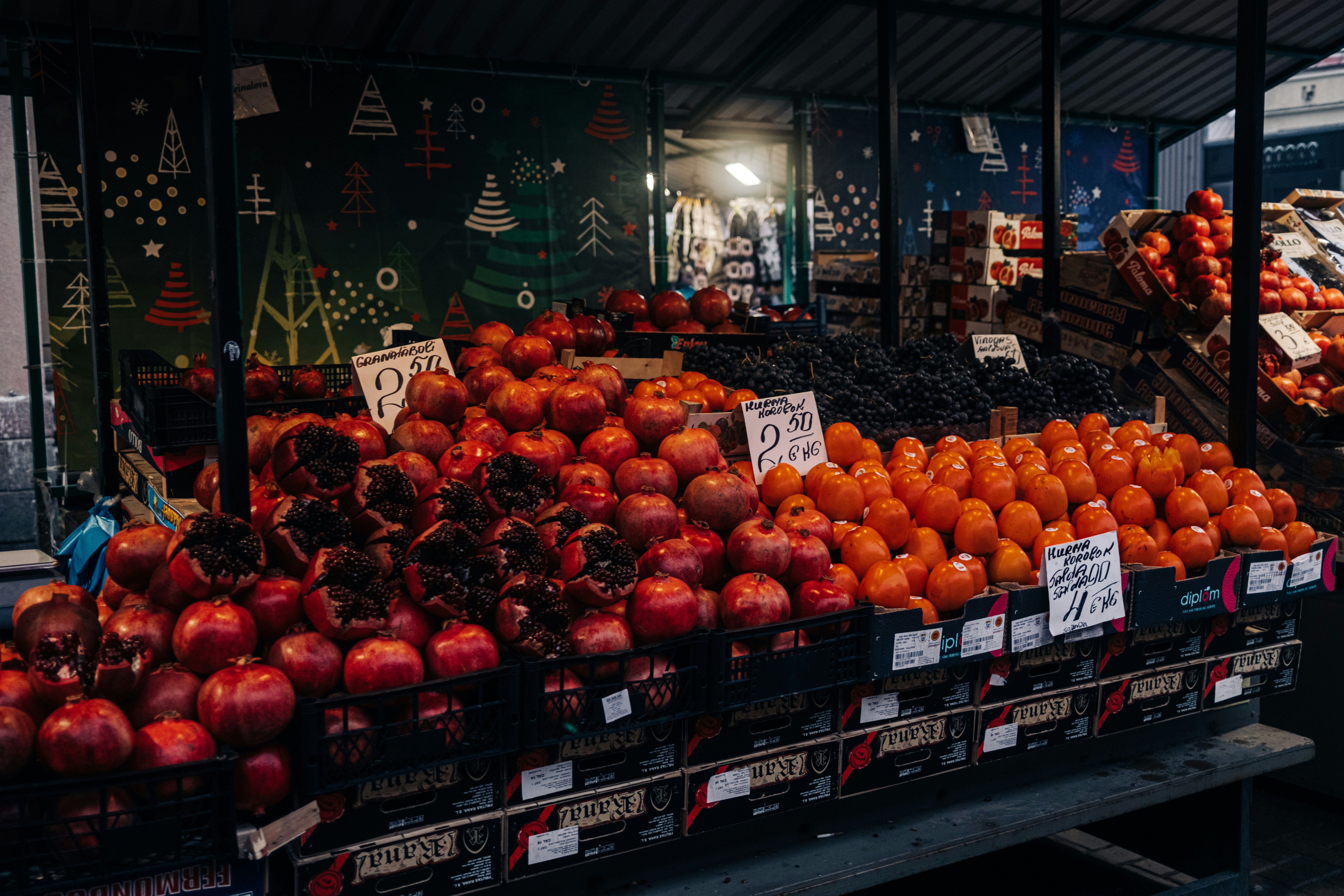 Photo by virussinside