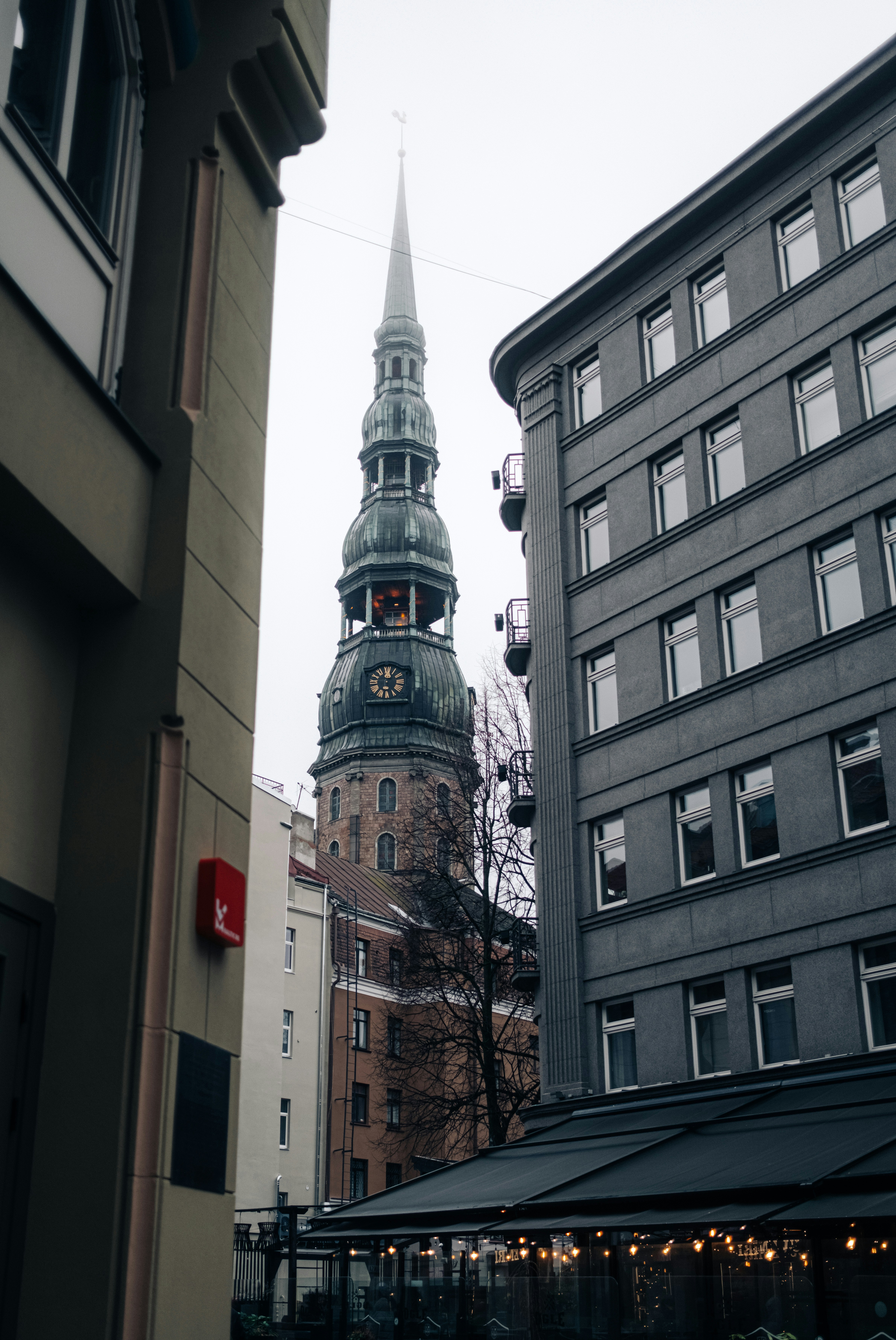 Photo by virussinside