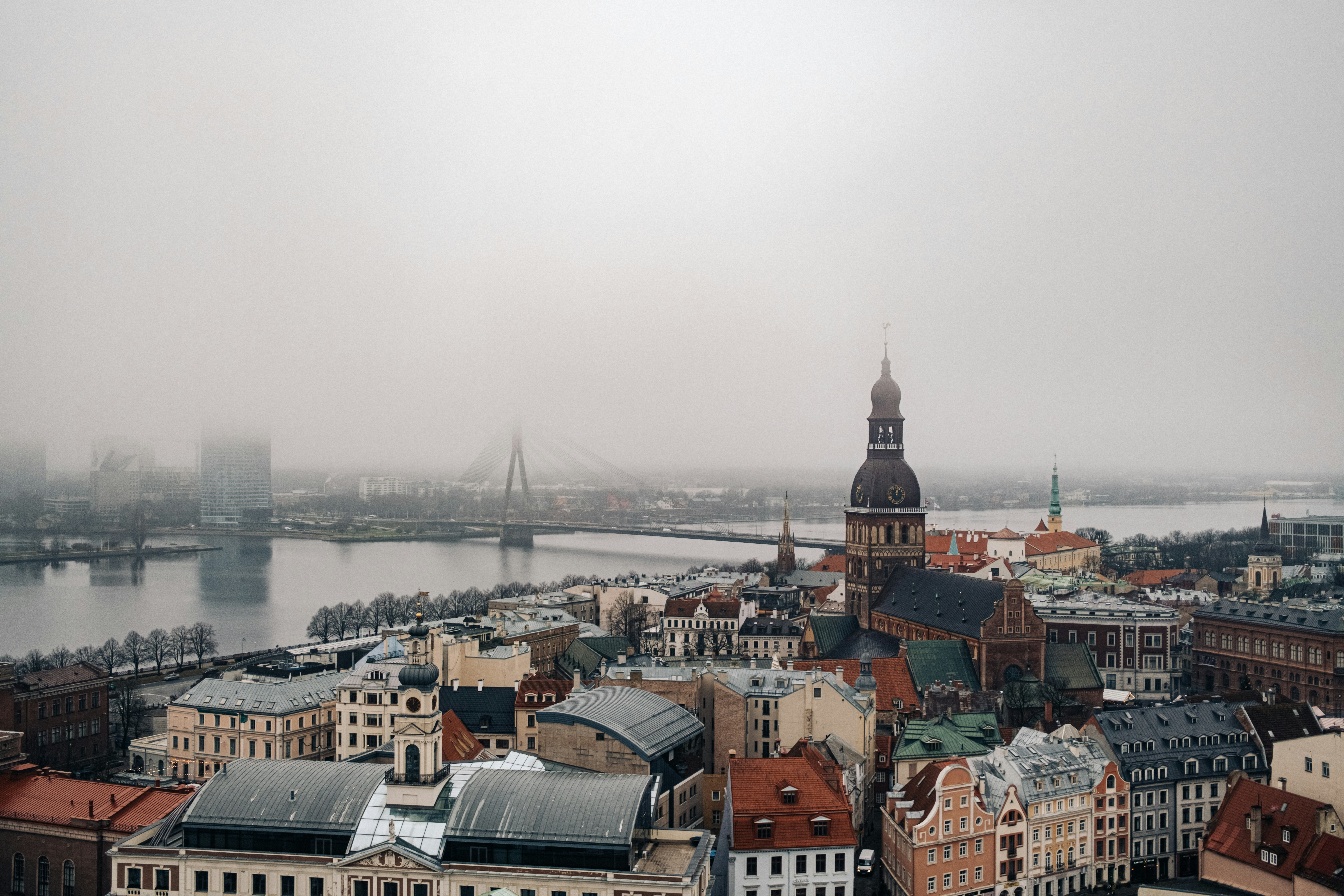 Photo by virussinside