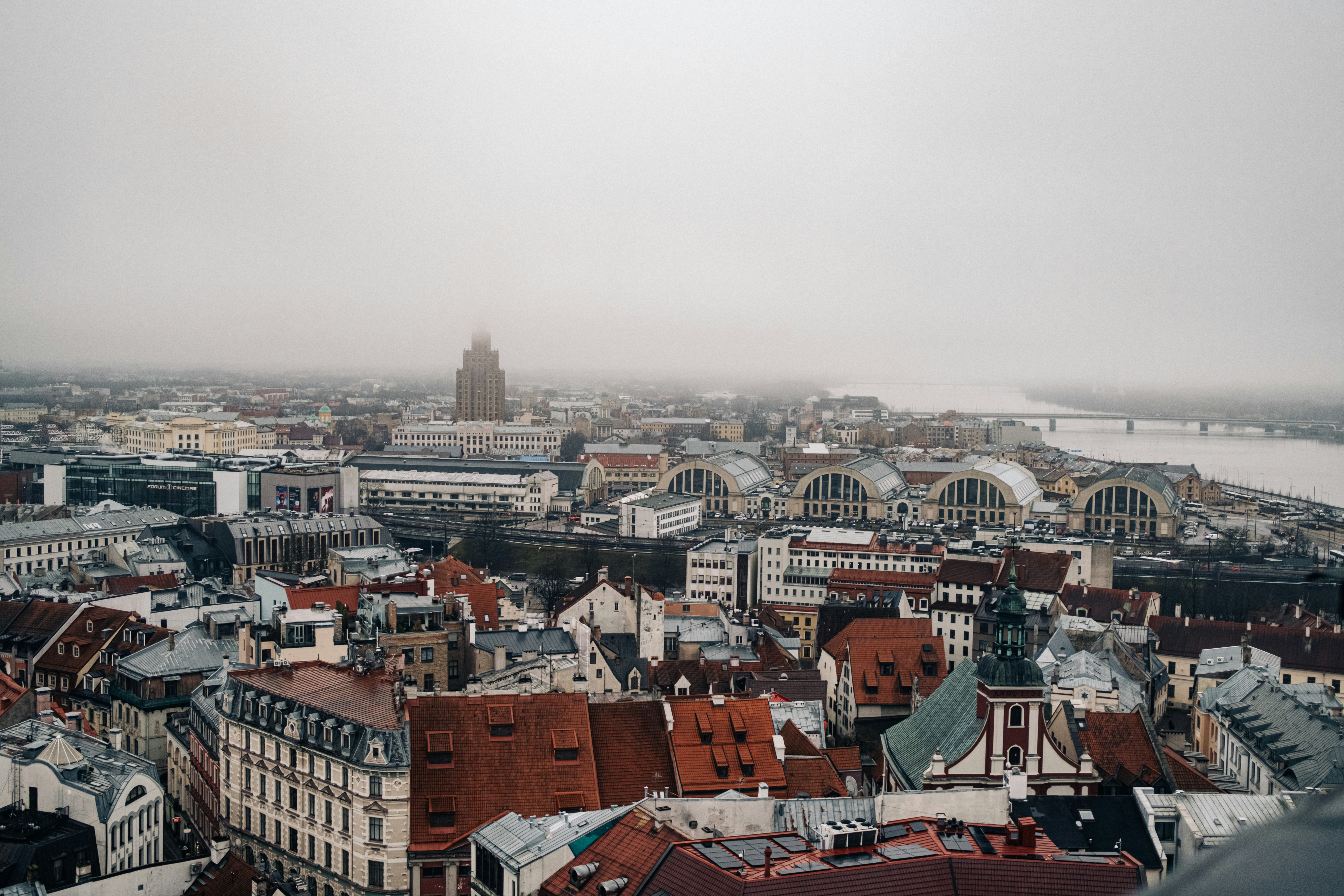 Photo by virussinside