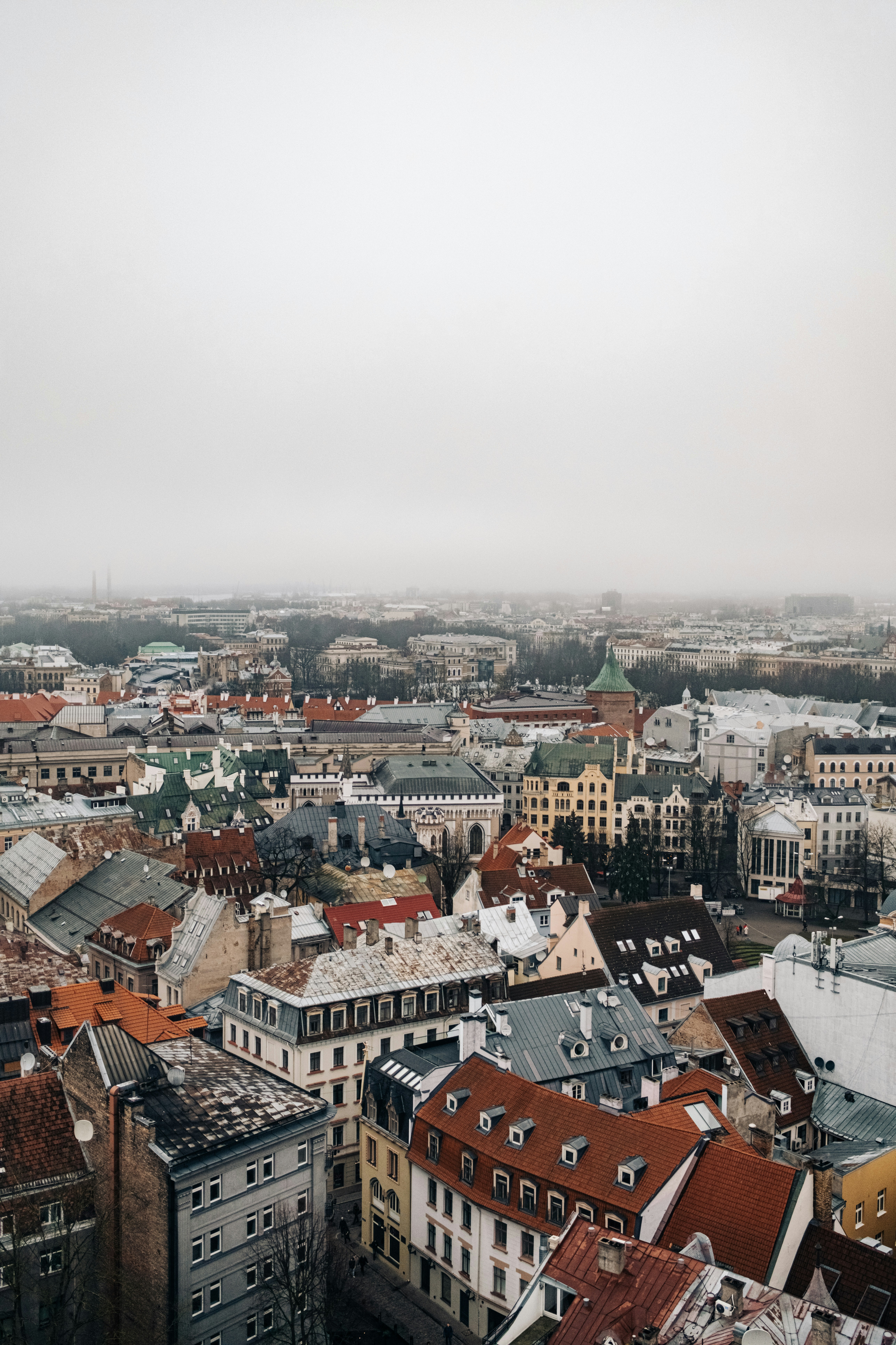 Photo by virussinside