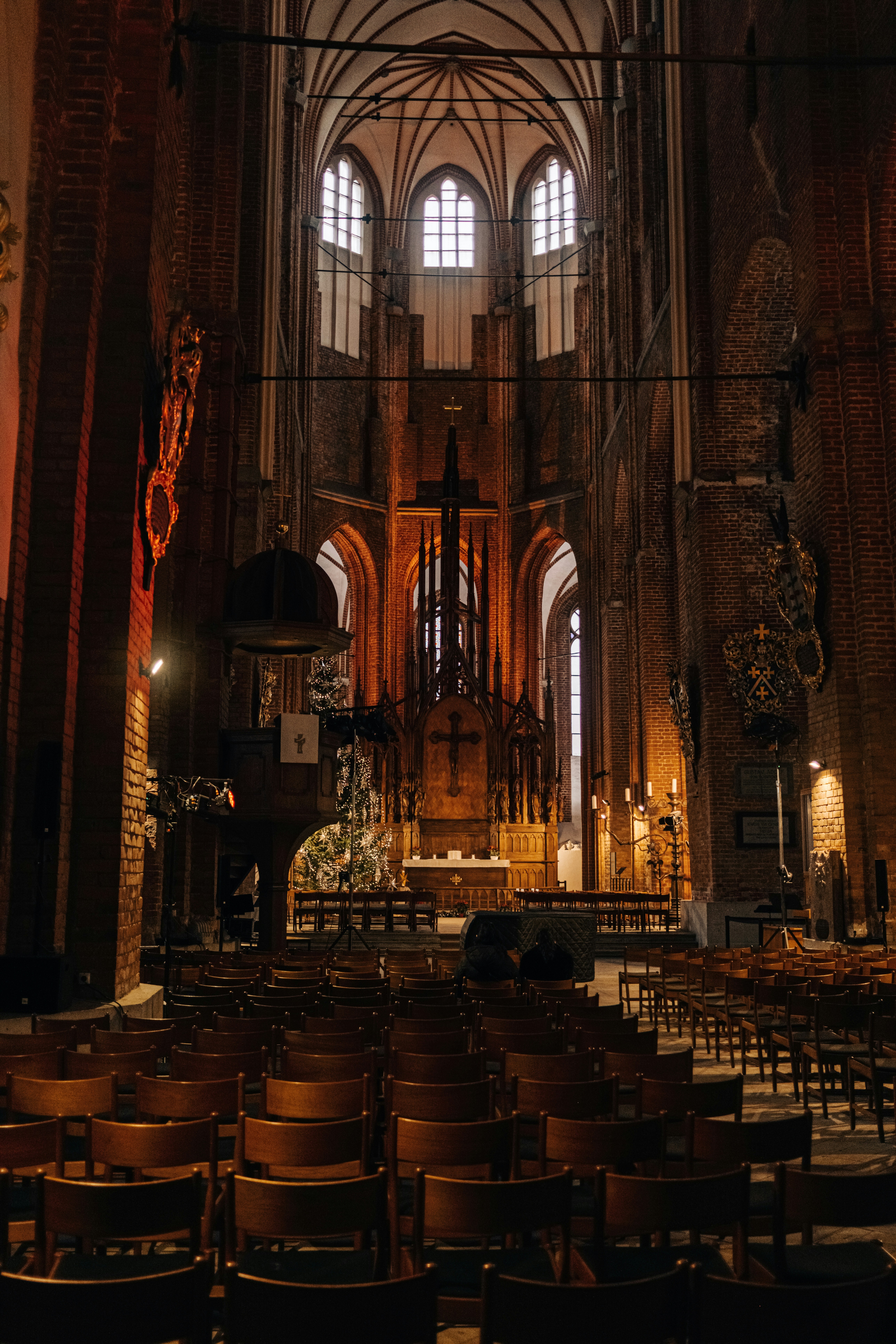 Photo by virussinside