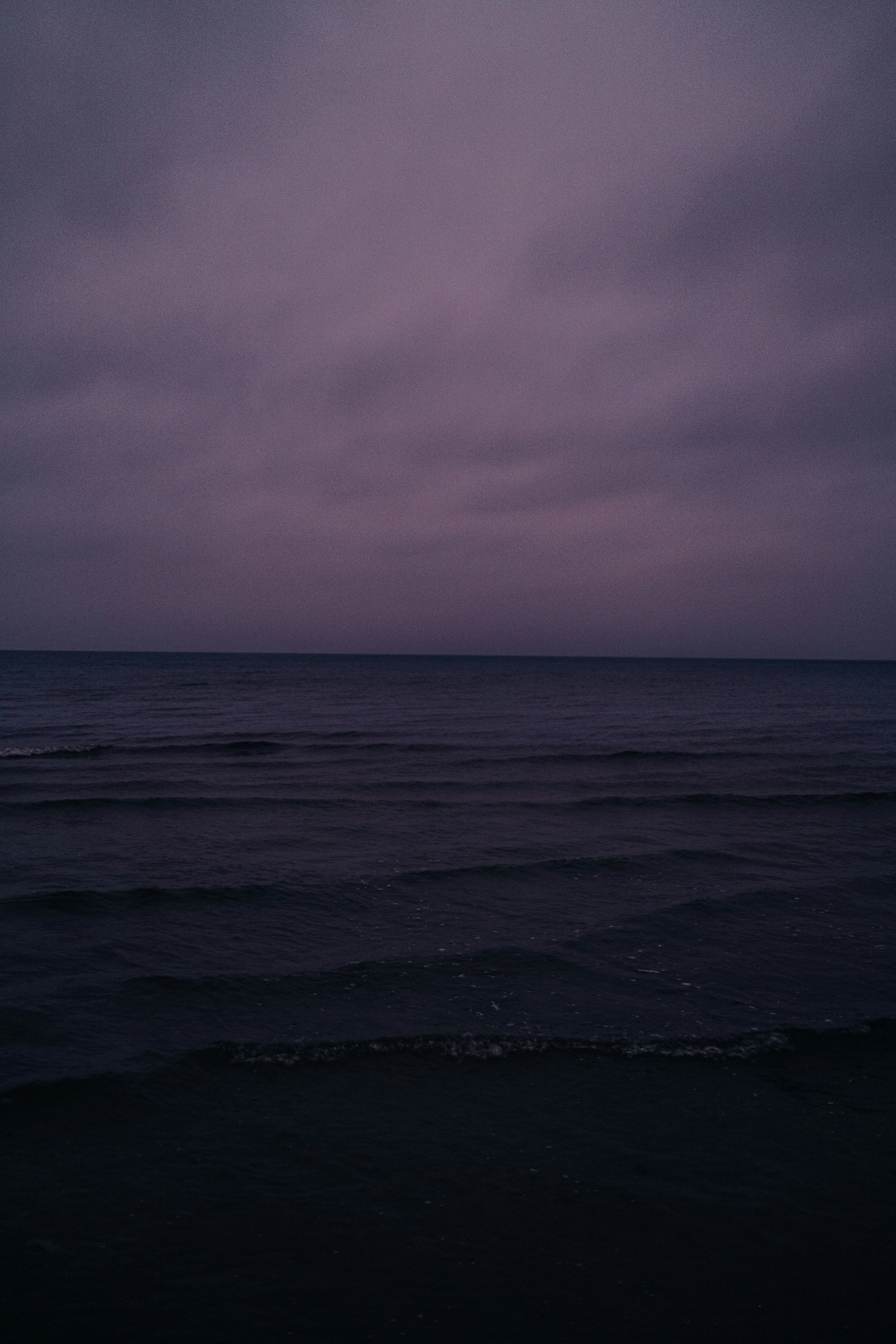 Photo by virussinside