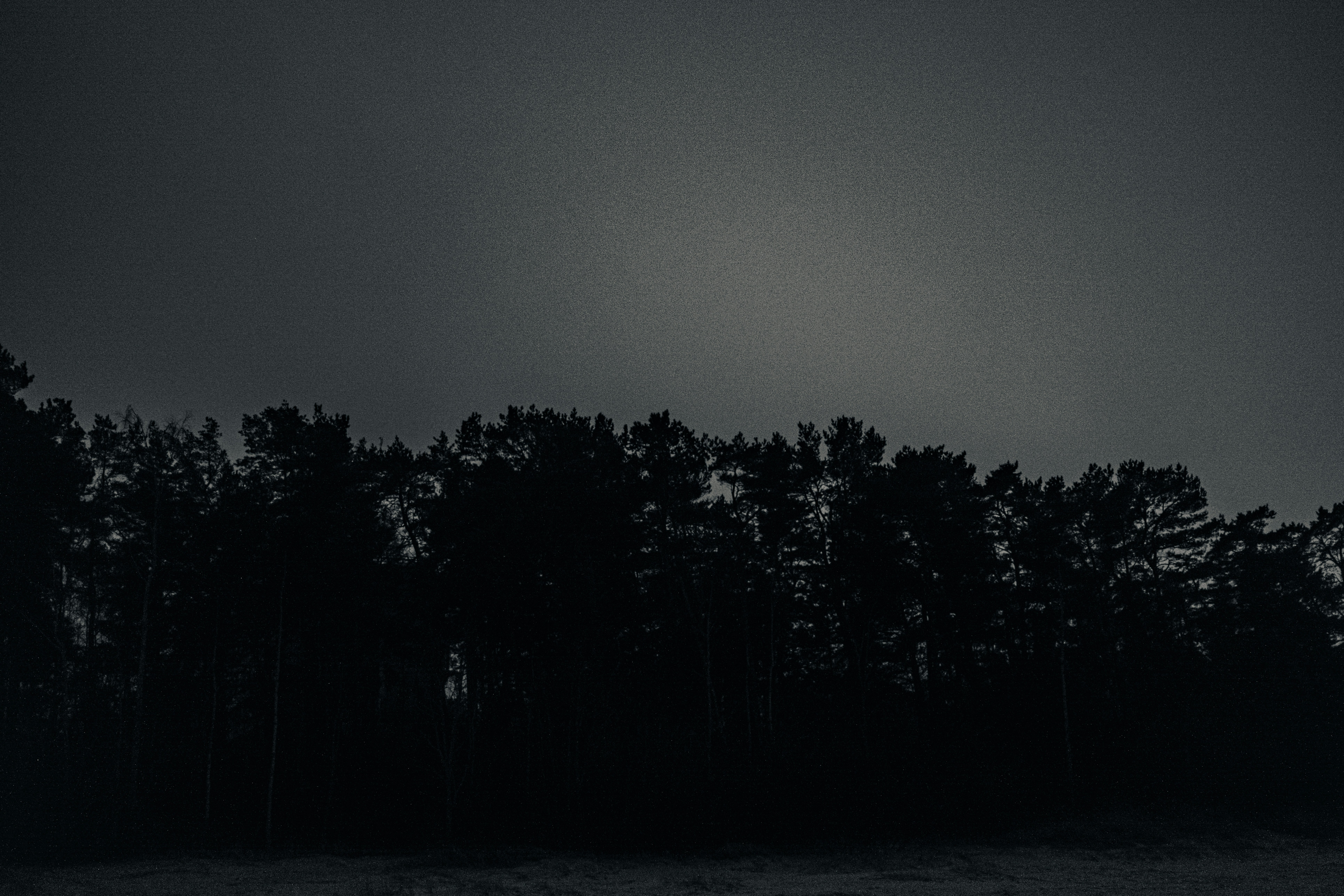 Photo by virussinside