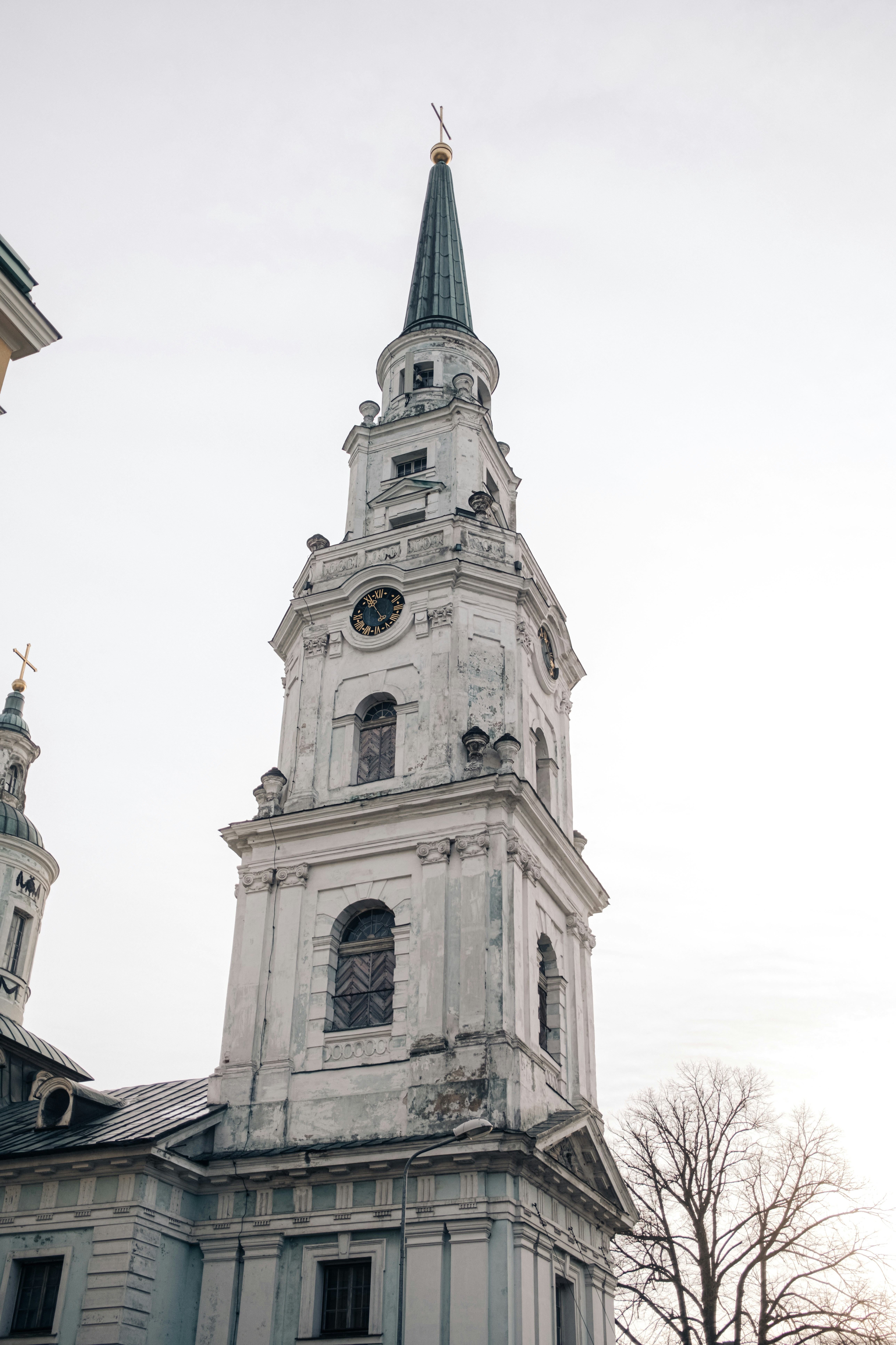 Photo by virussinside