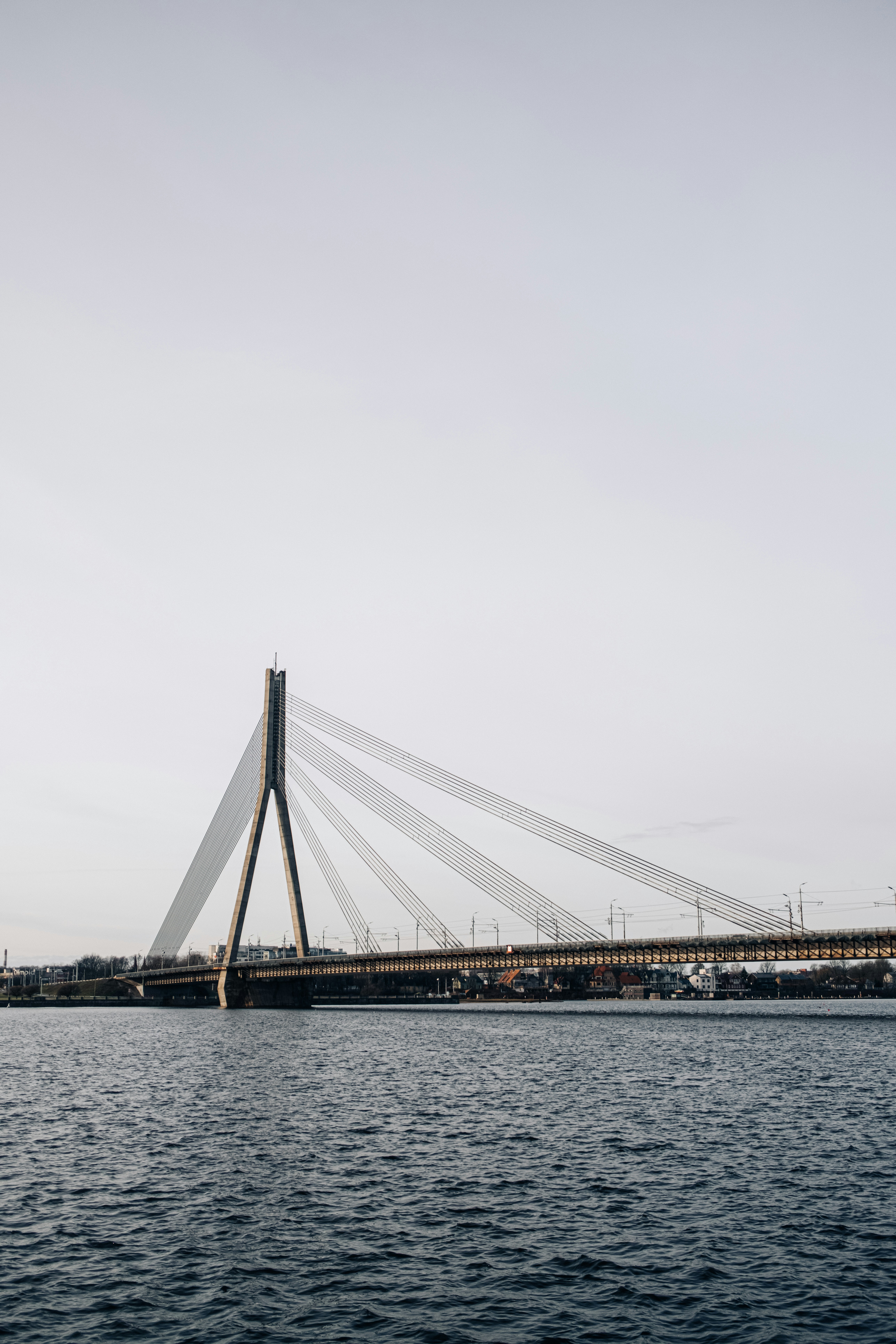 Photo by virussinside