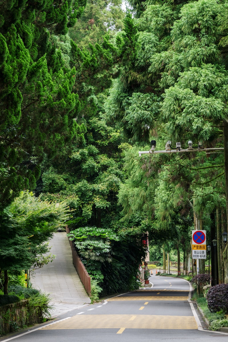 Fuzhou National Forest Park
