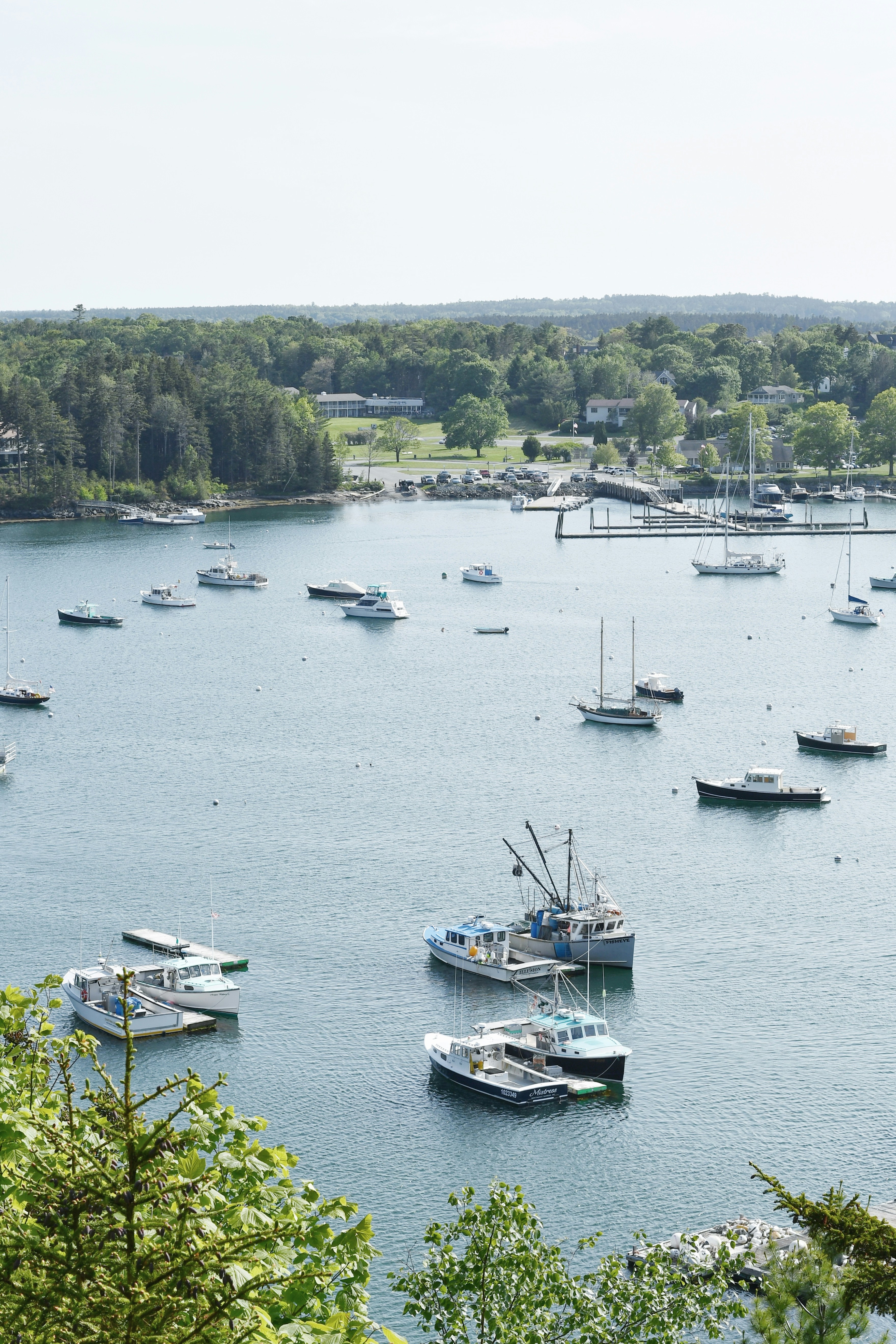 Photo by harlynkingm