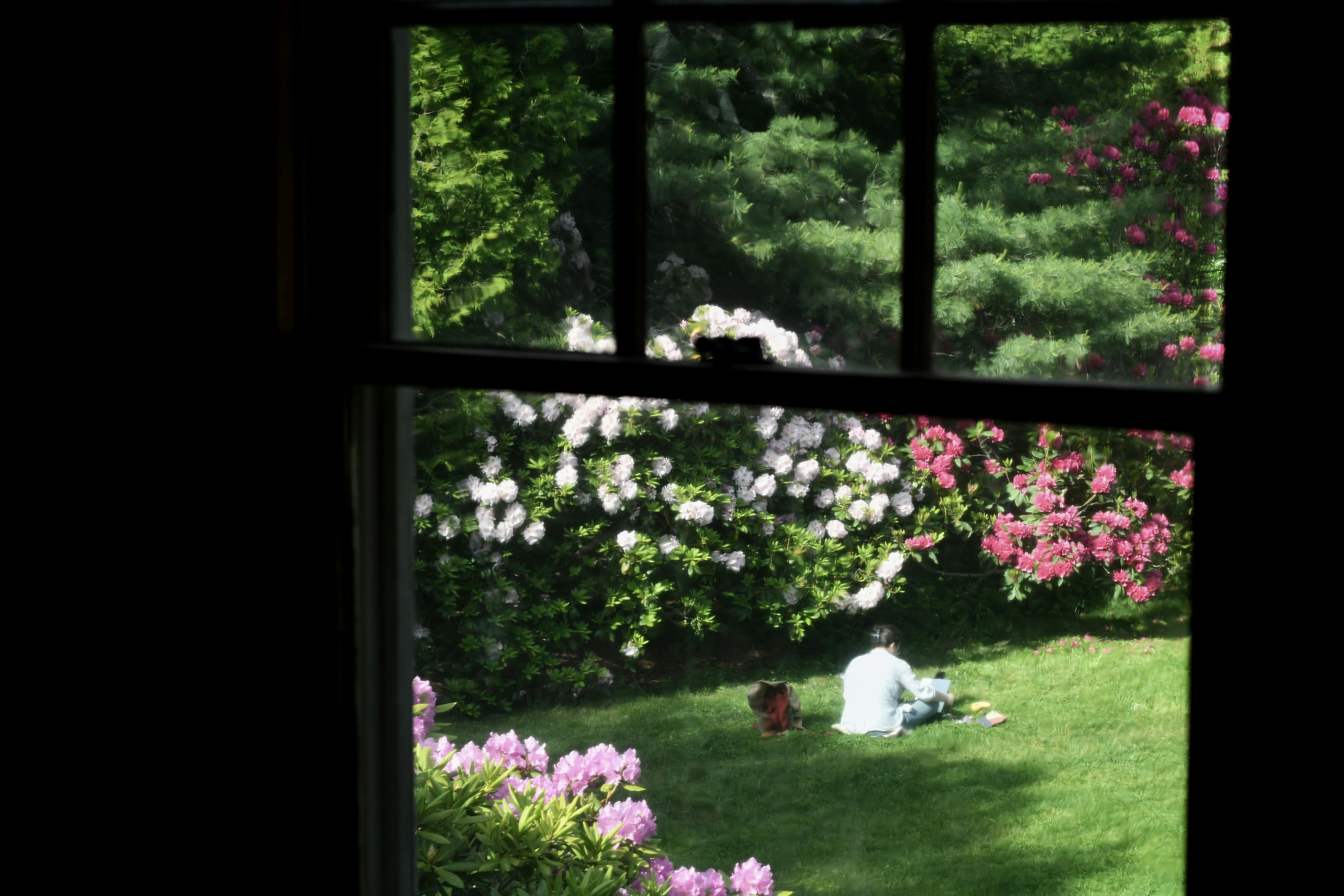 Photo by harlynkingm