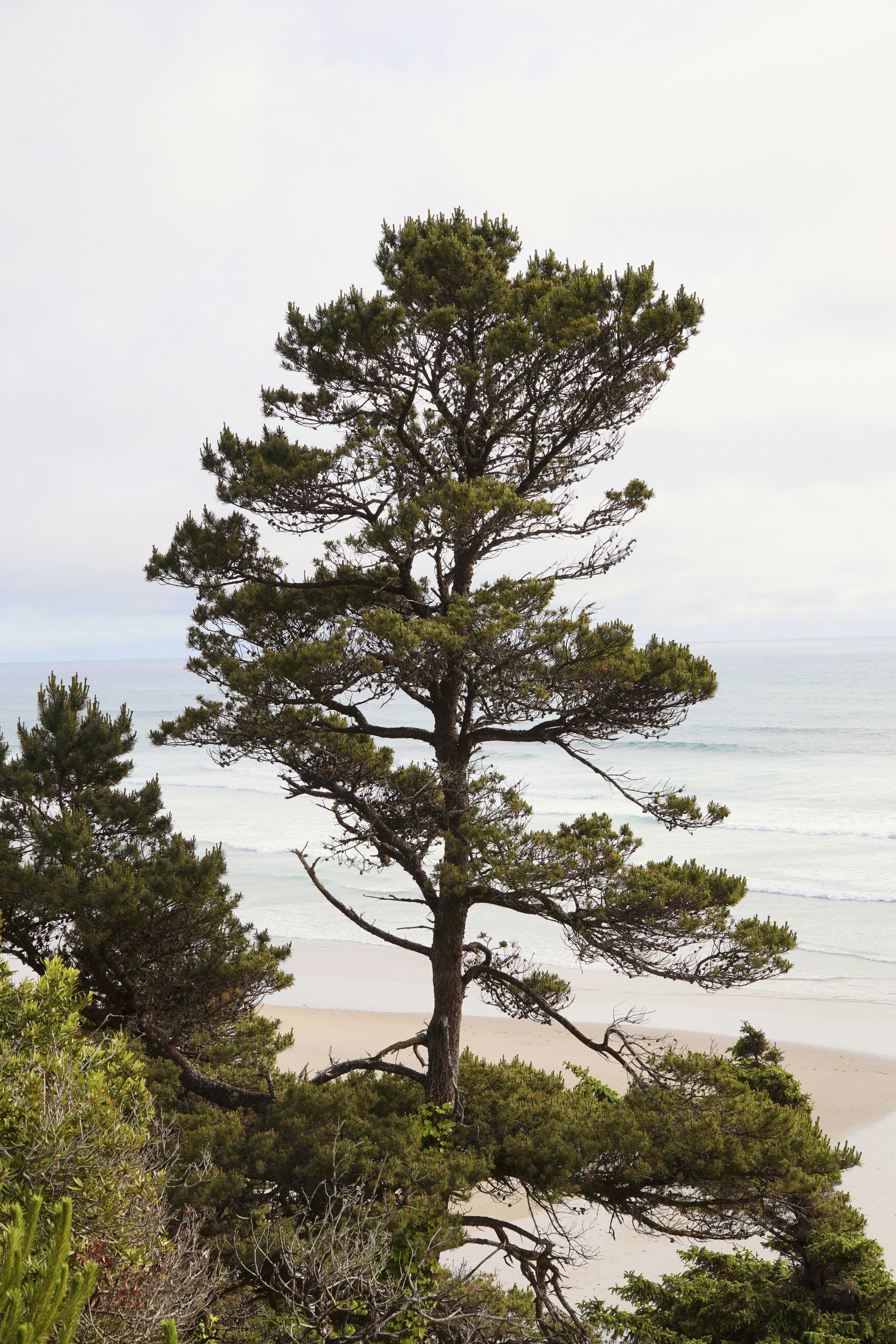 Photo by brettwharton