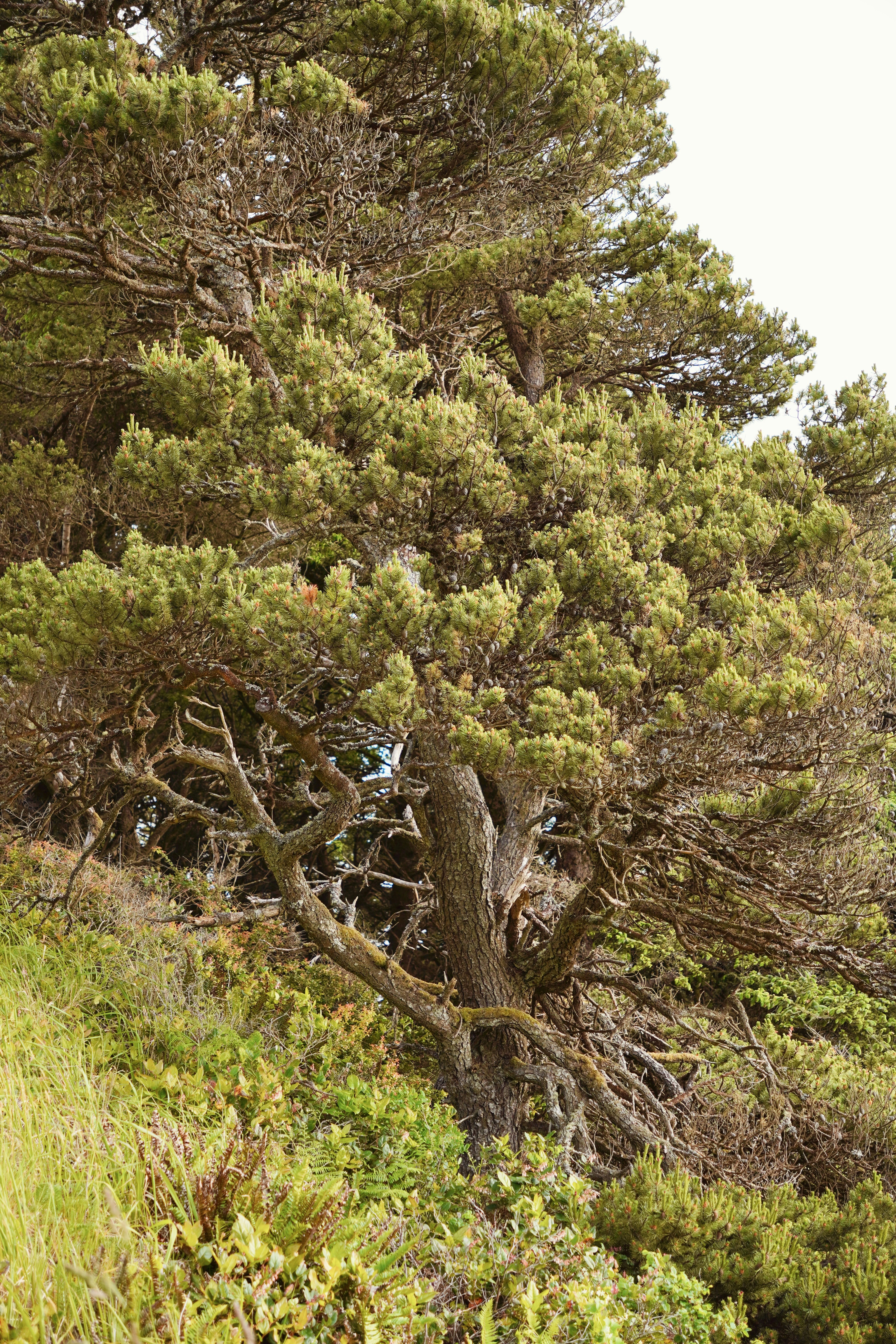 Photo by brettwharton