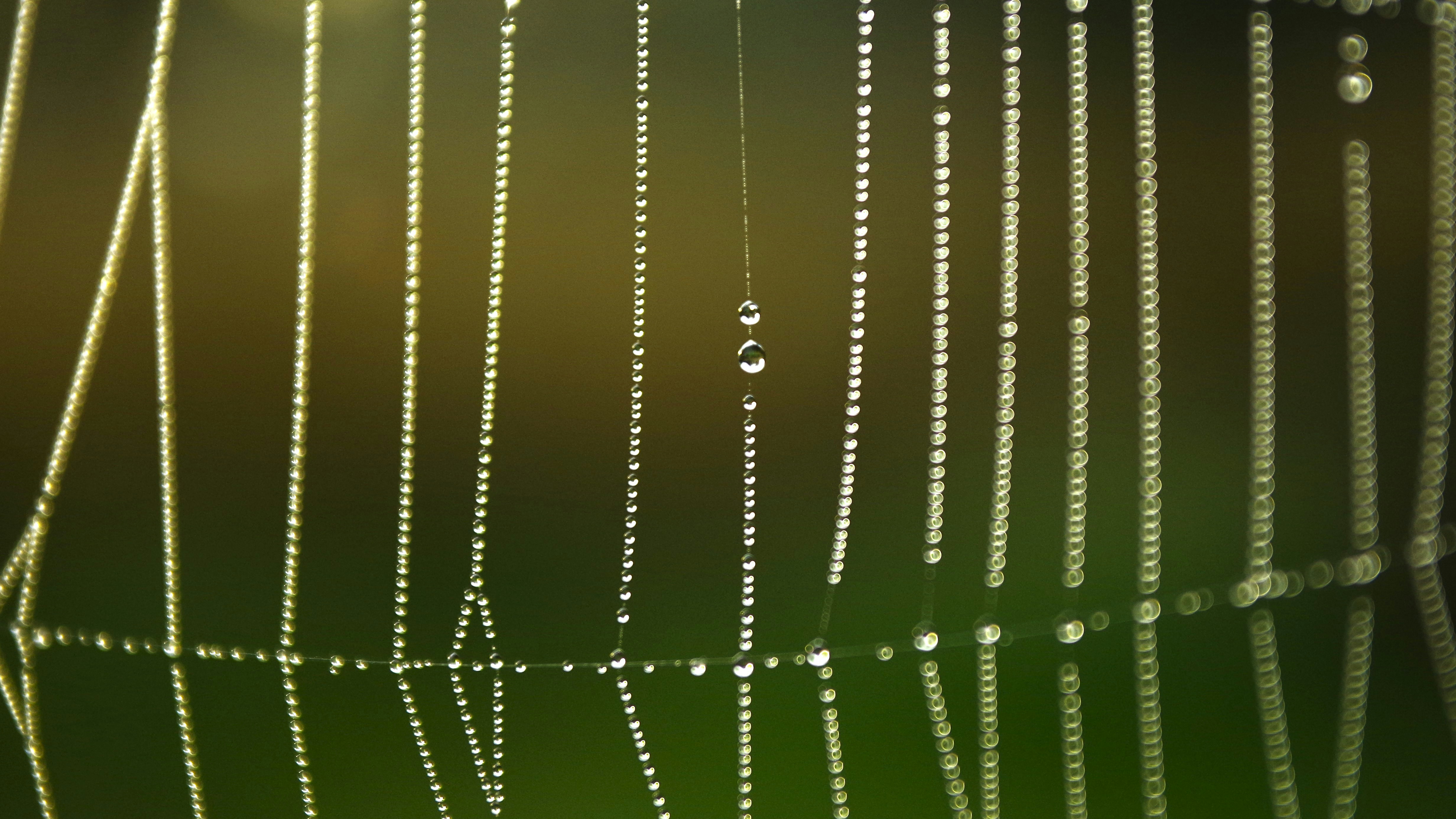 Photo by photoken123