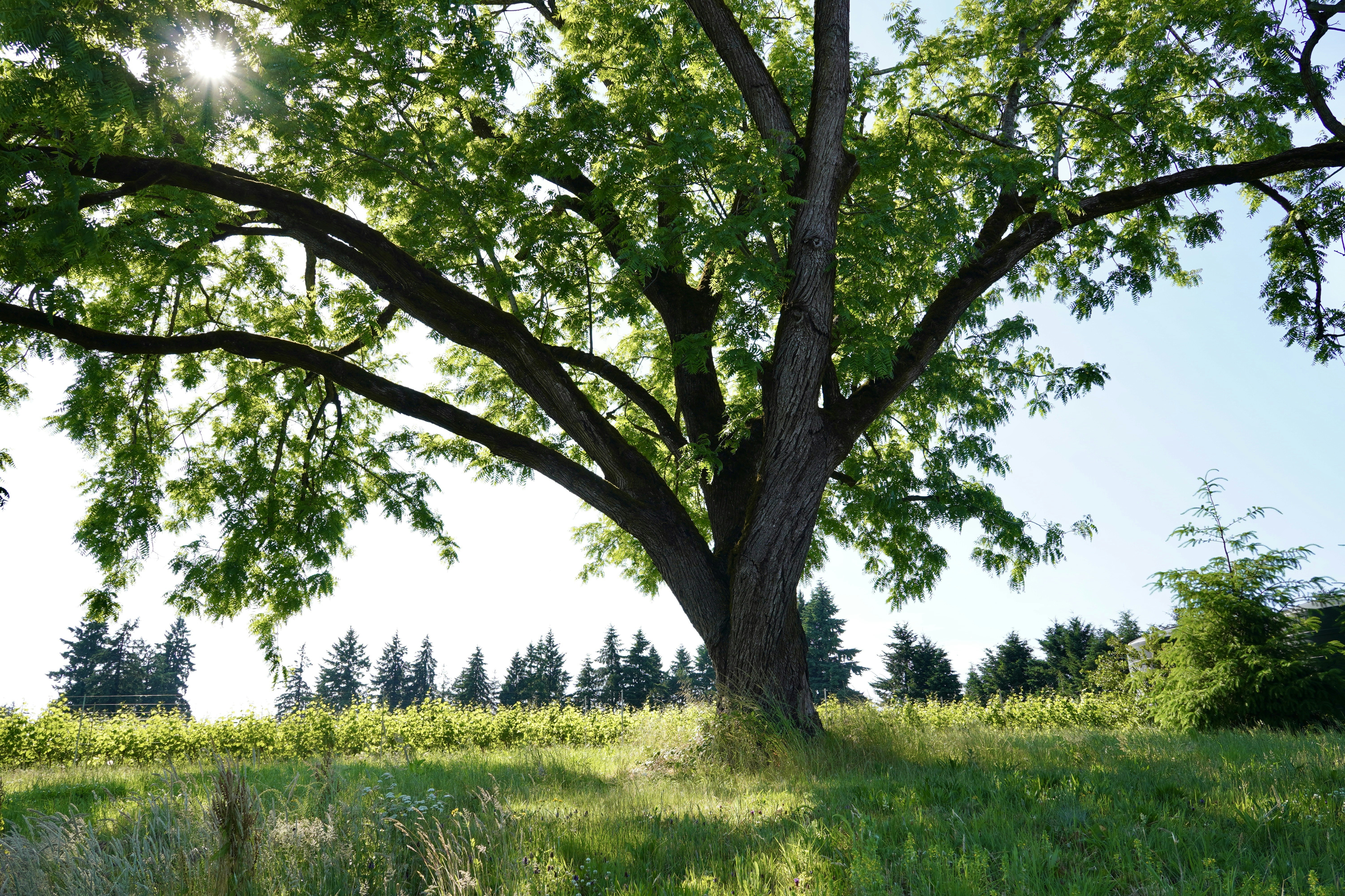 Photo by brettwharton