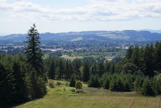 A scenic view of a lush, green valley.