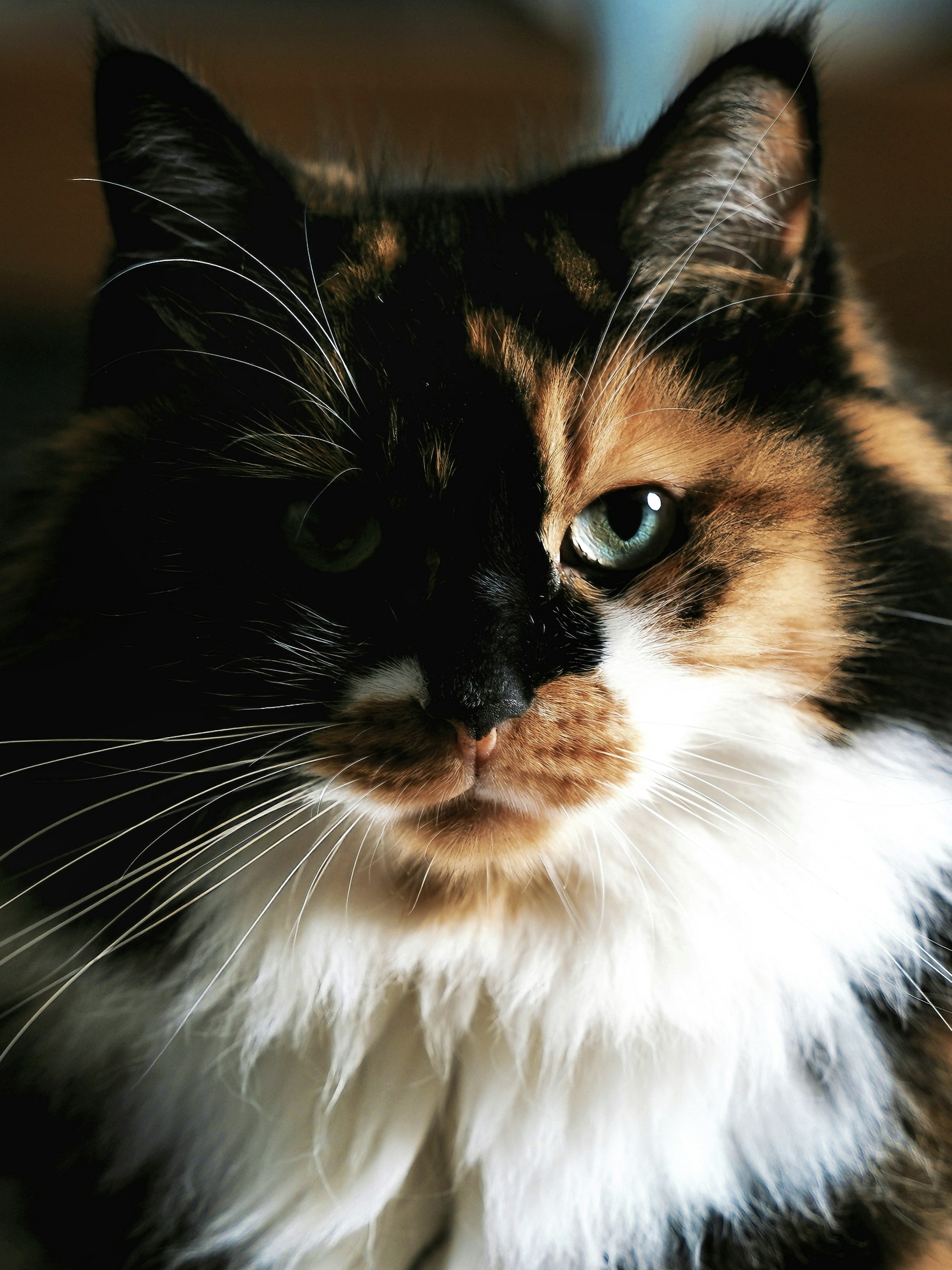 Photo by bruceshen0616