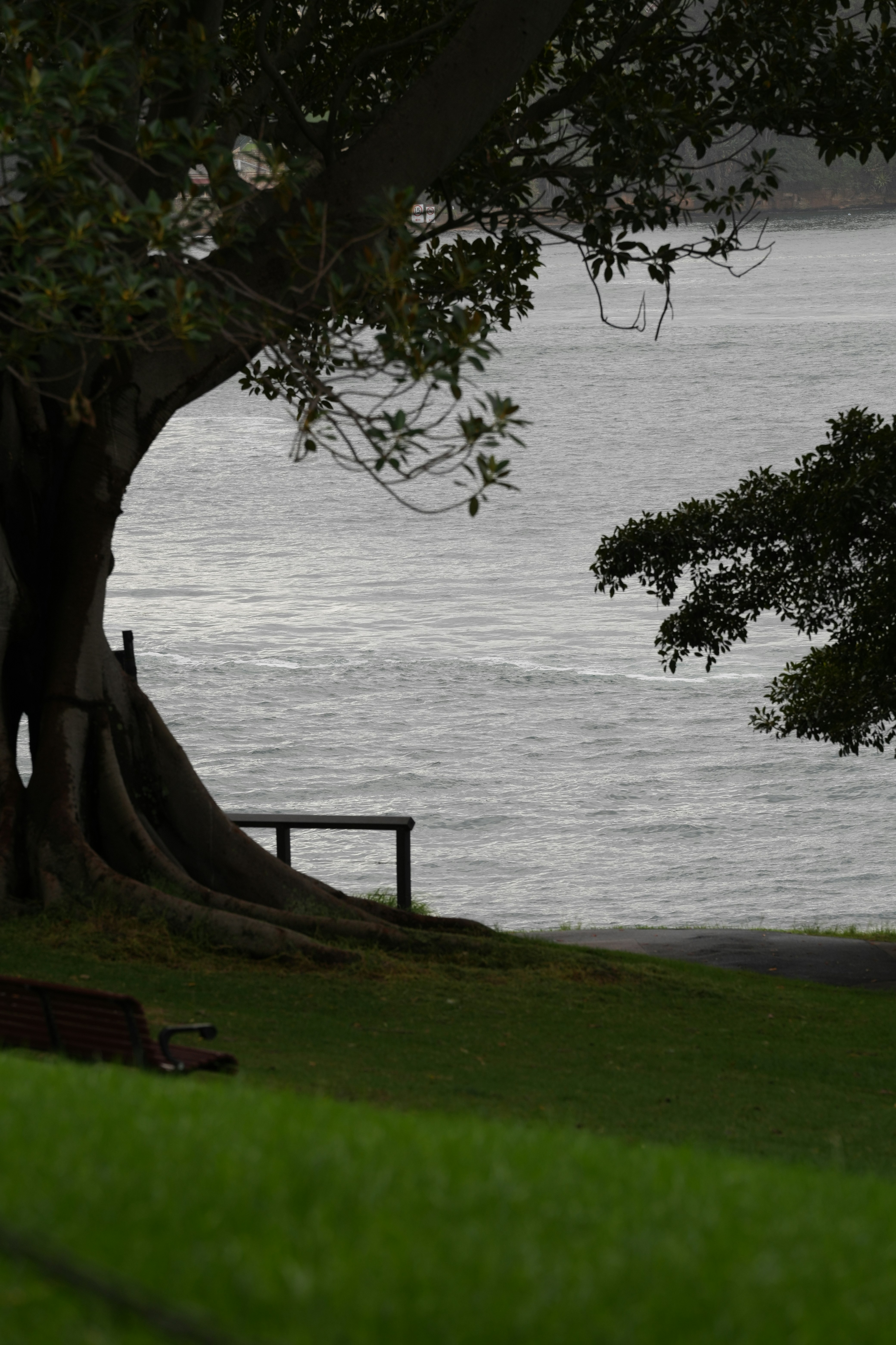 Photo by treesan