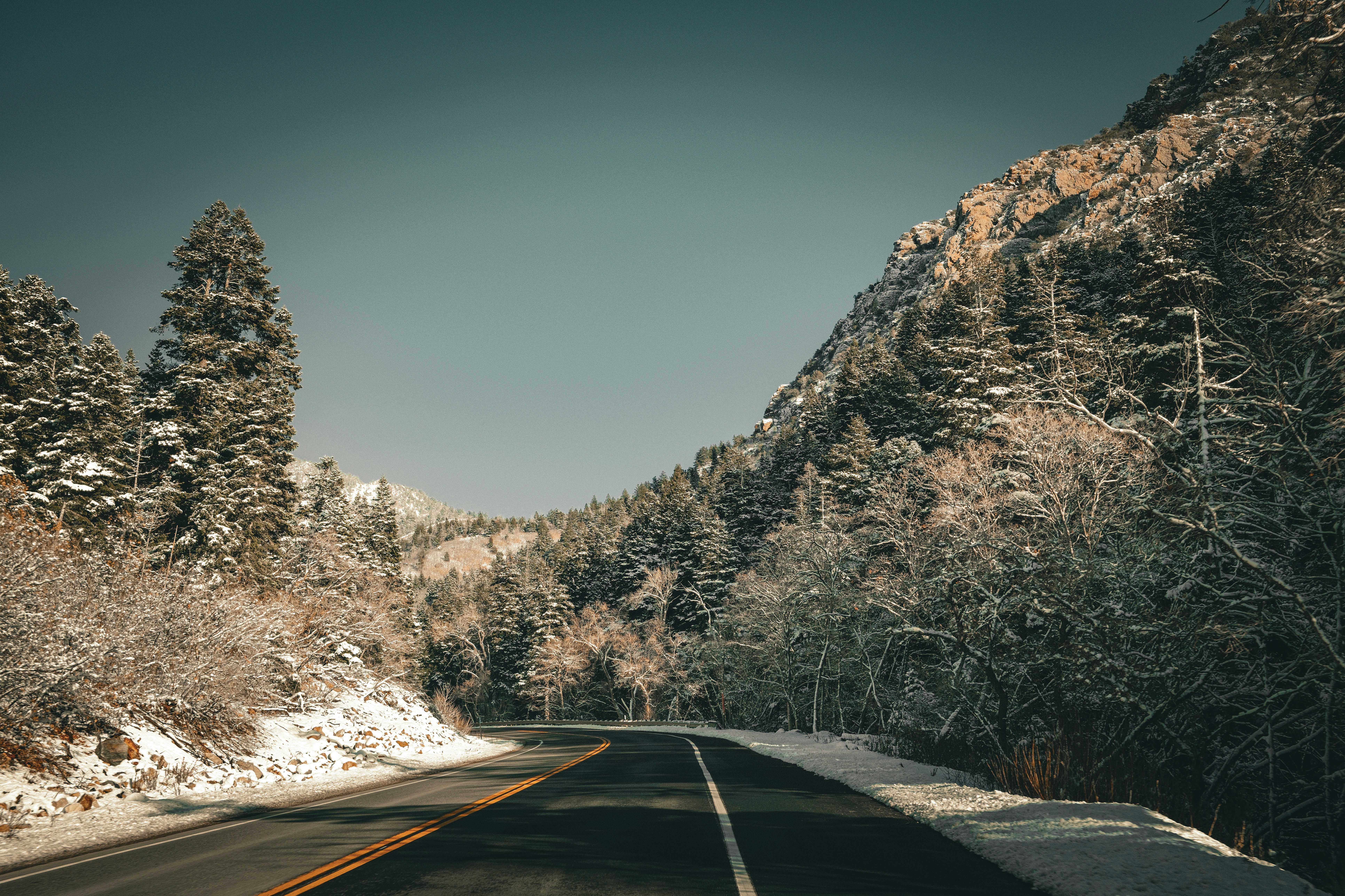 Photo by noisy_filter