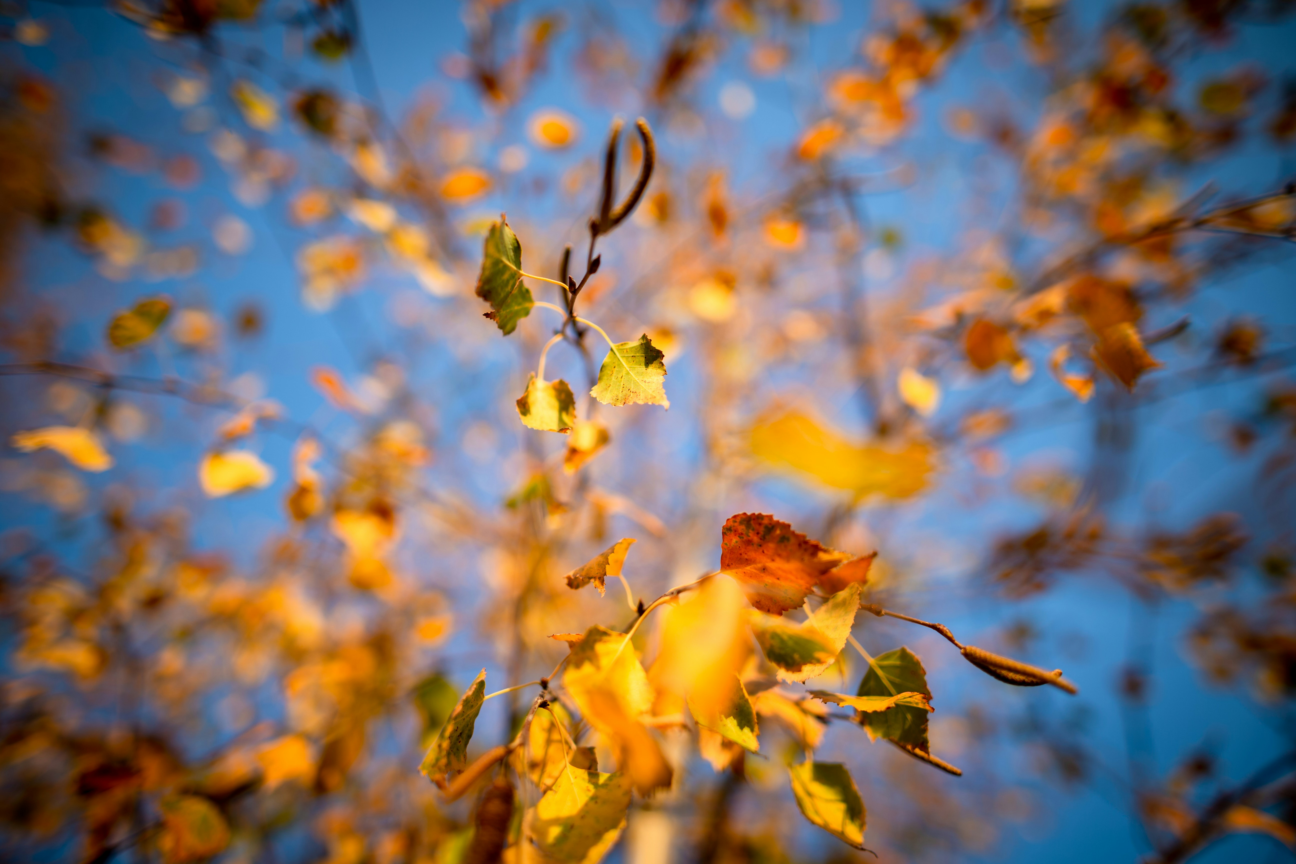Photo by sulyok