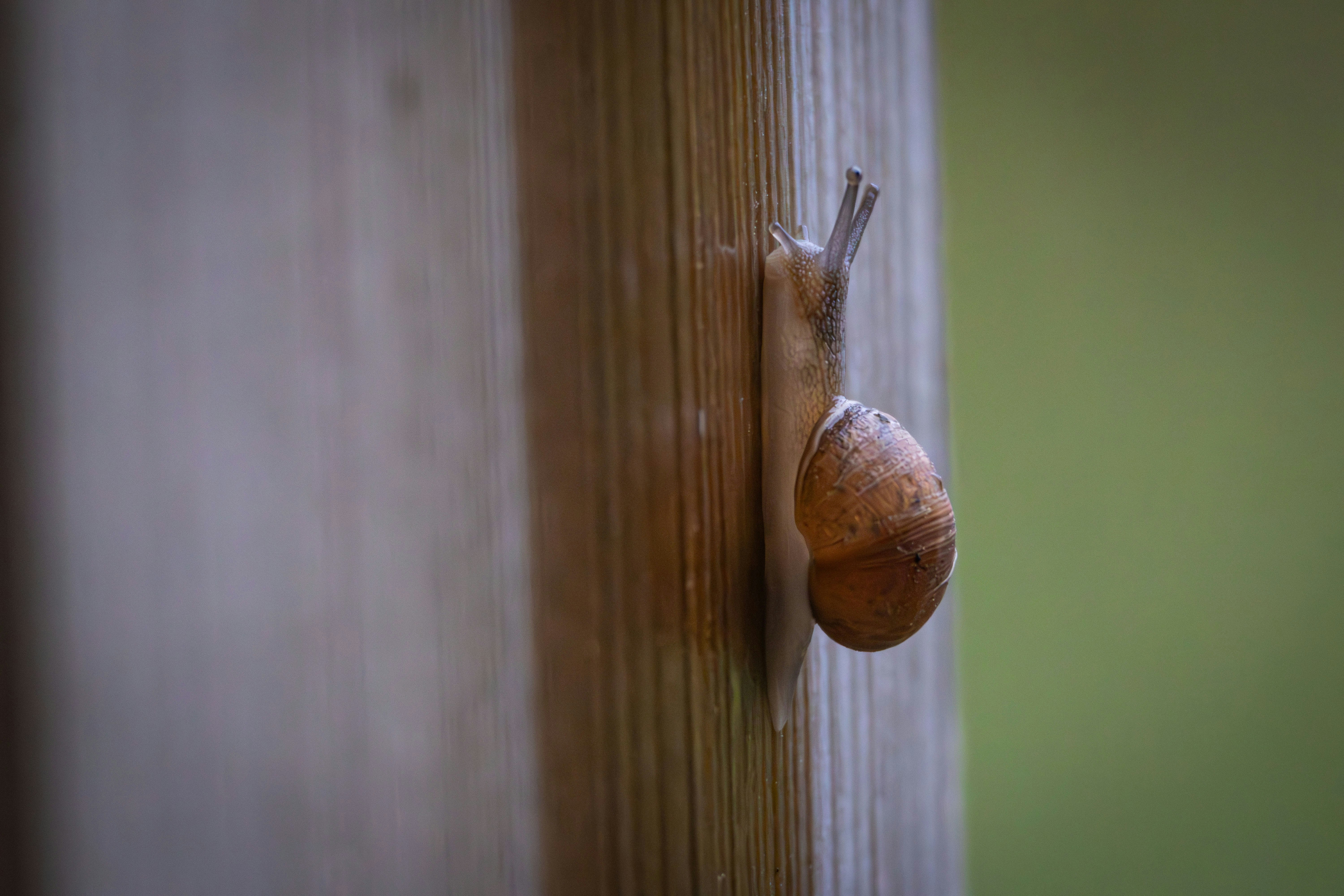 Photo by kennyvrphotography