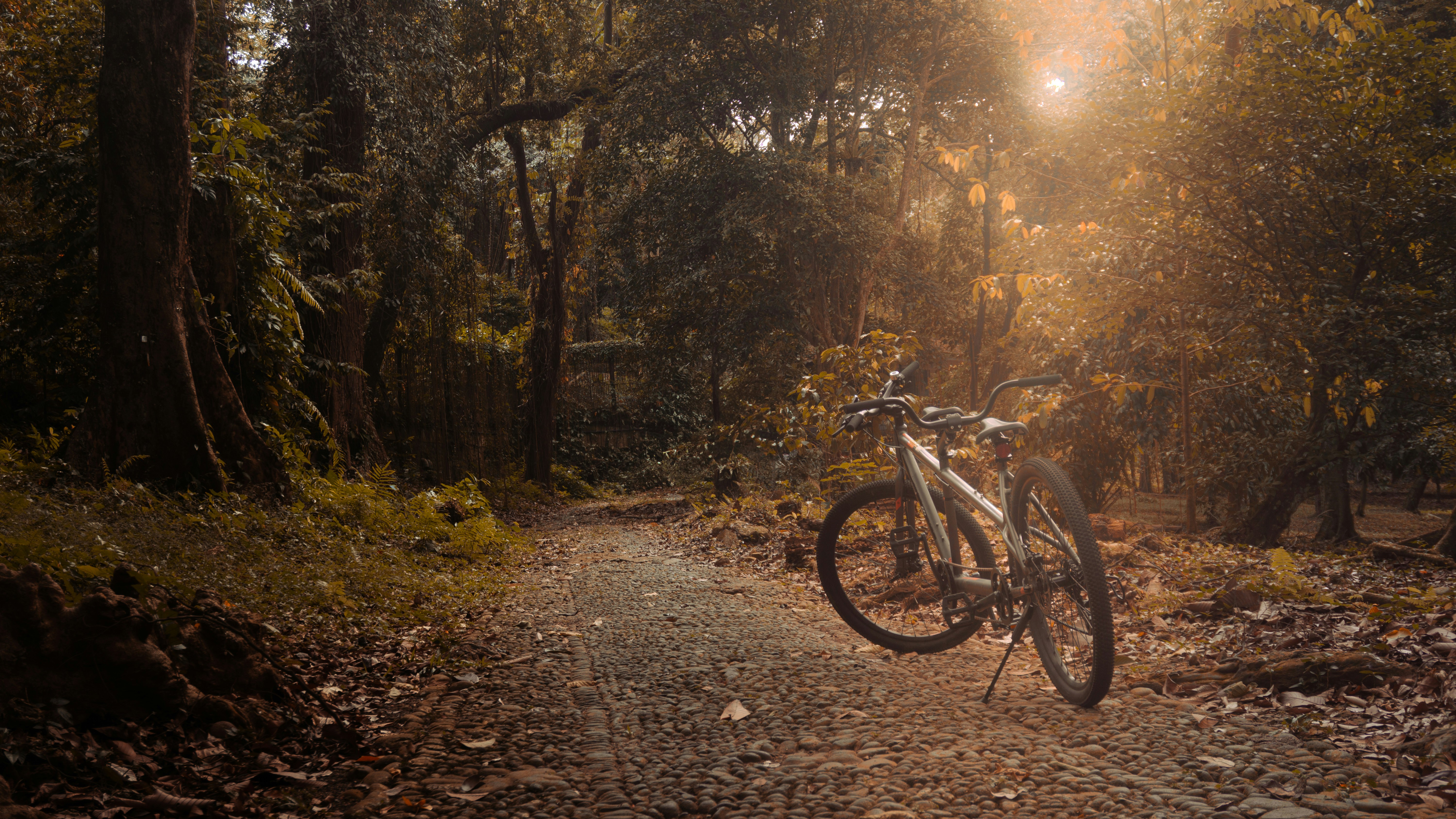 Photo by vicko_fidelis