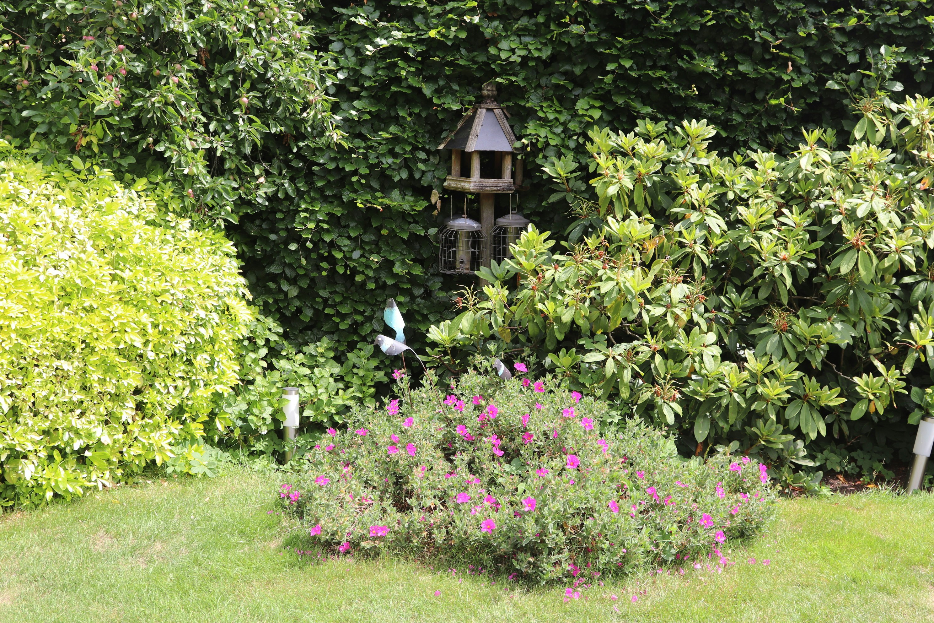 Photo by tanyabarrow