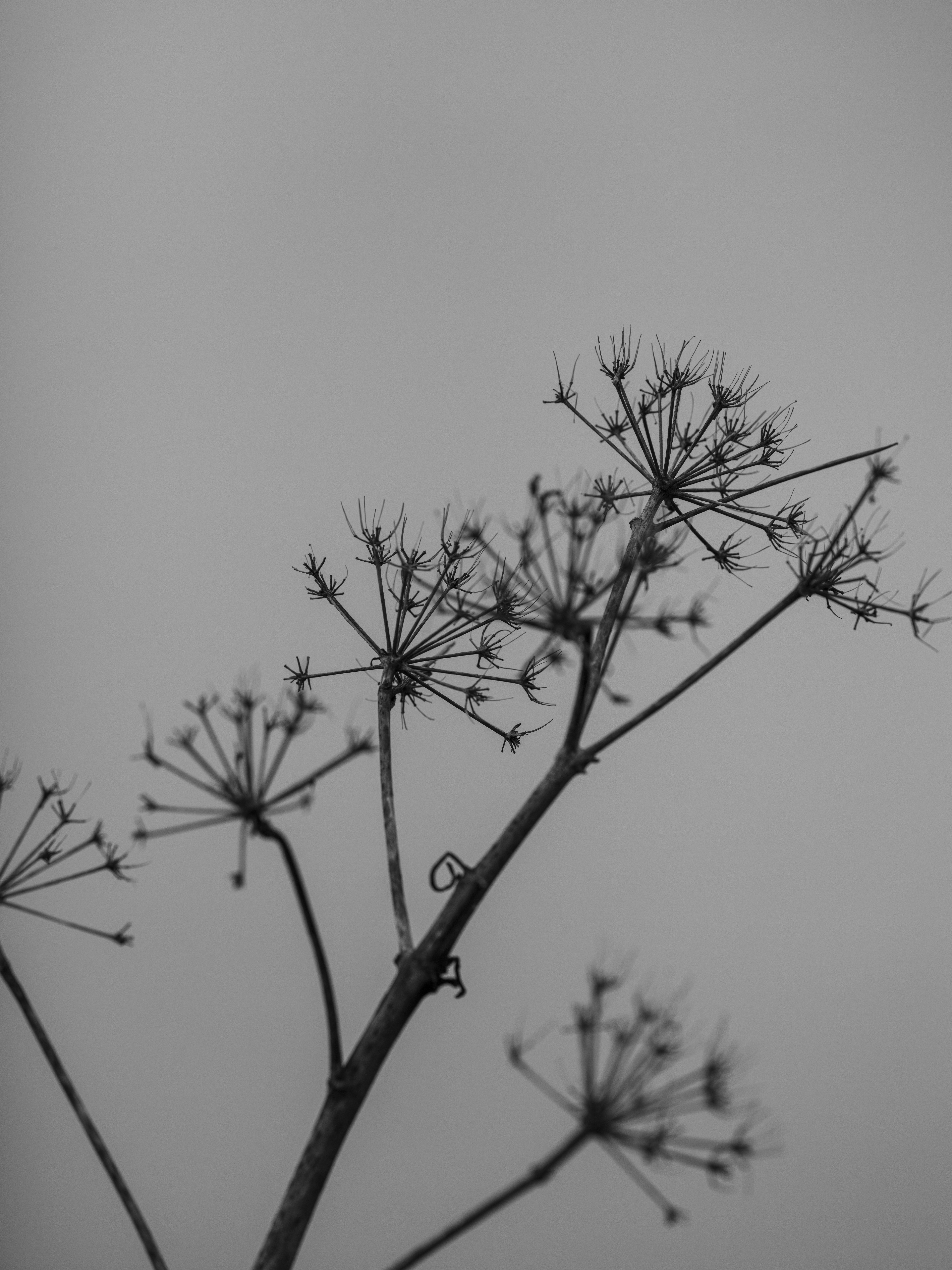 Photo by enginakyurt