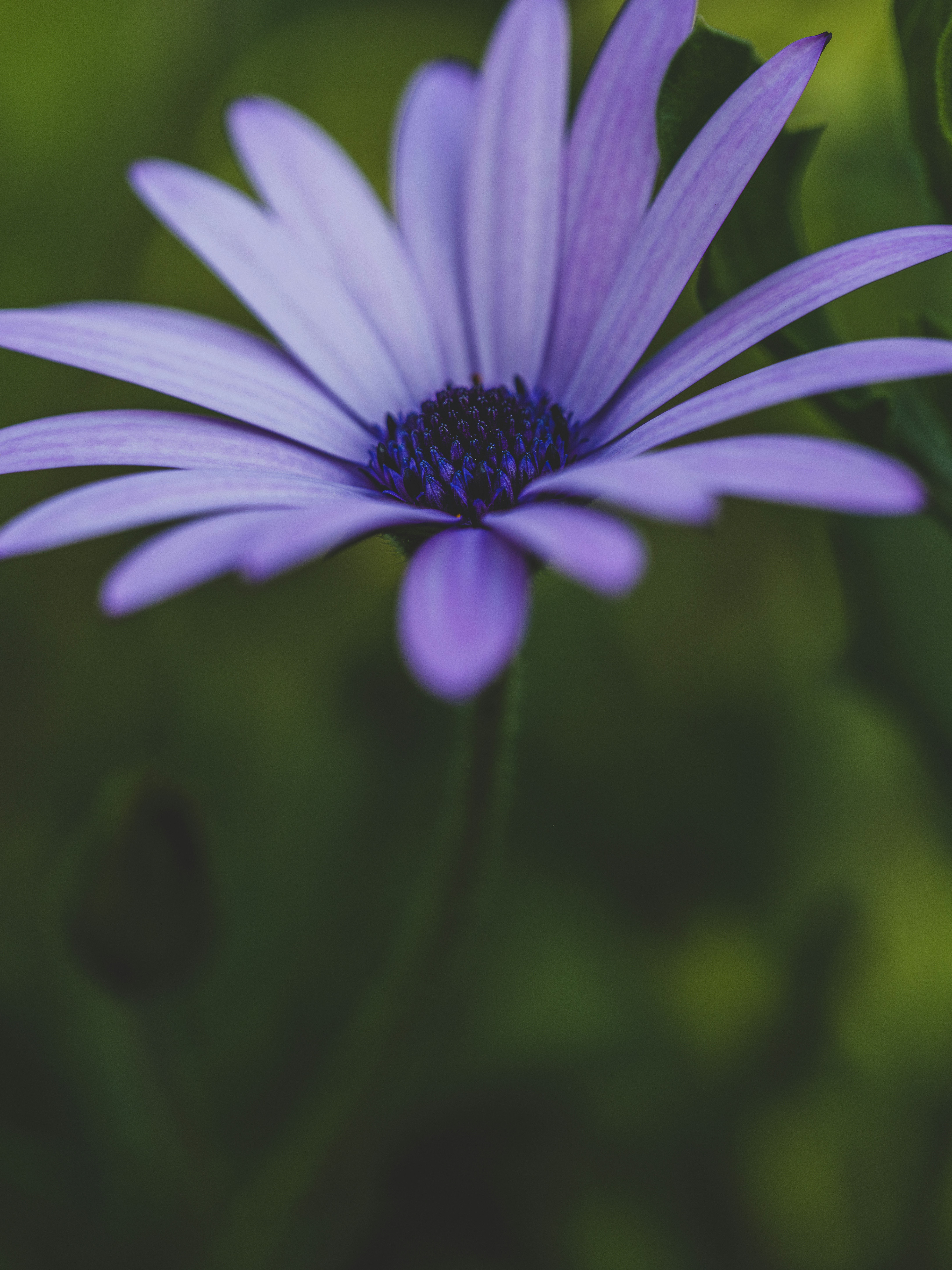 Photo by enginakyurt