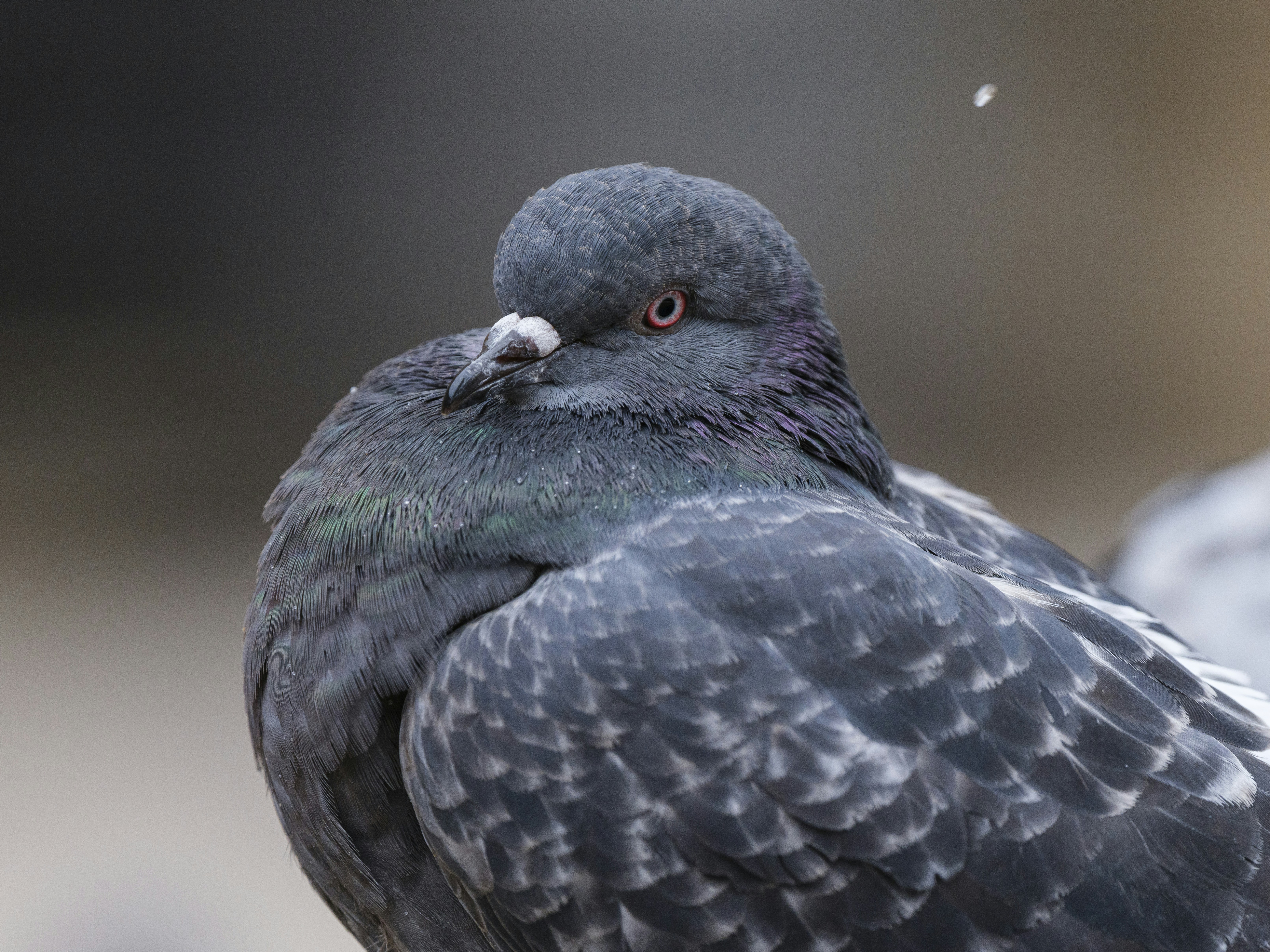 Photo by enginakyurt