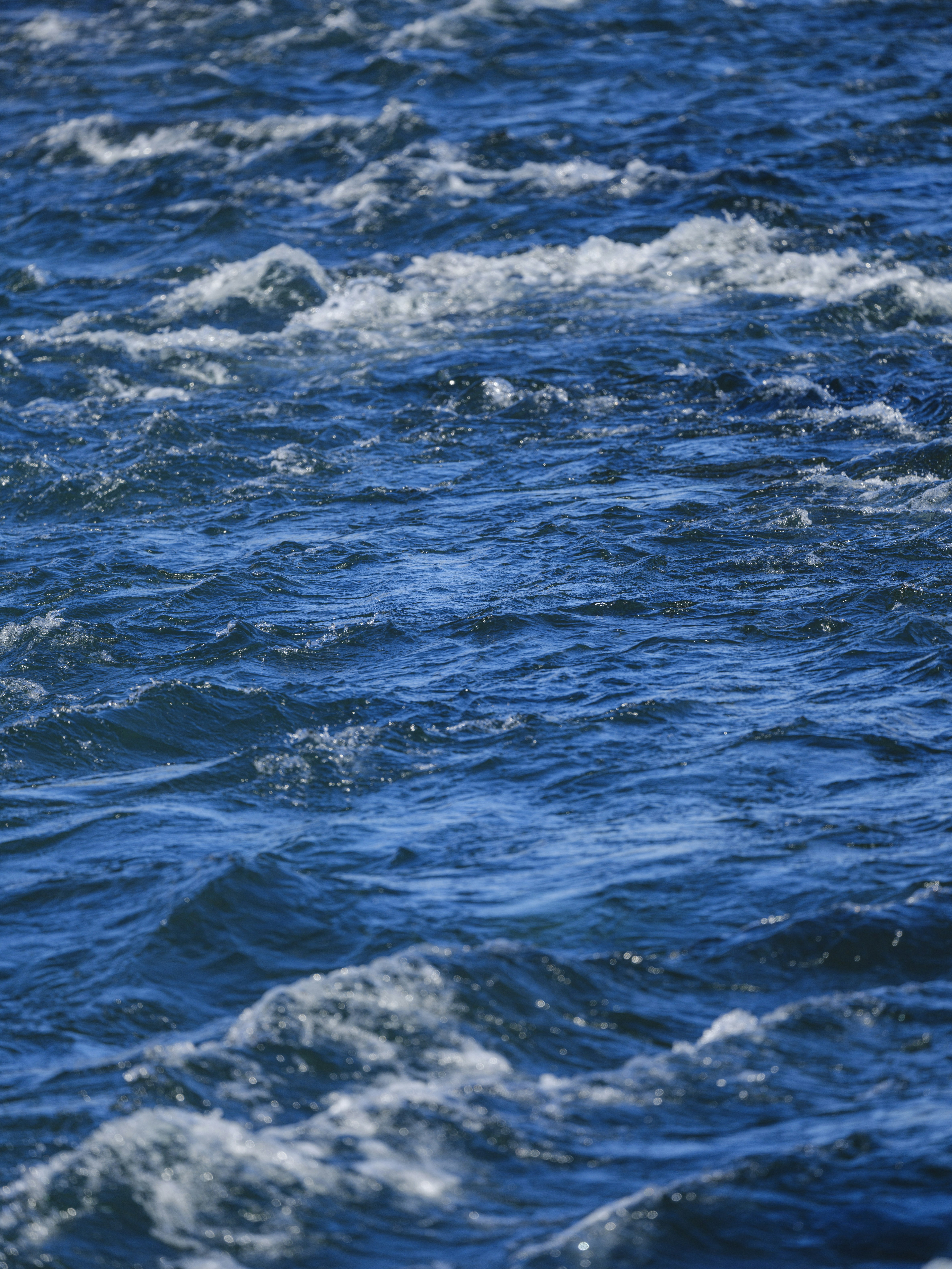 Photo by enginakyurt