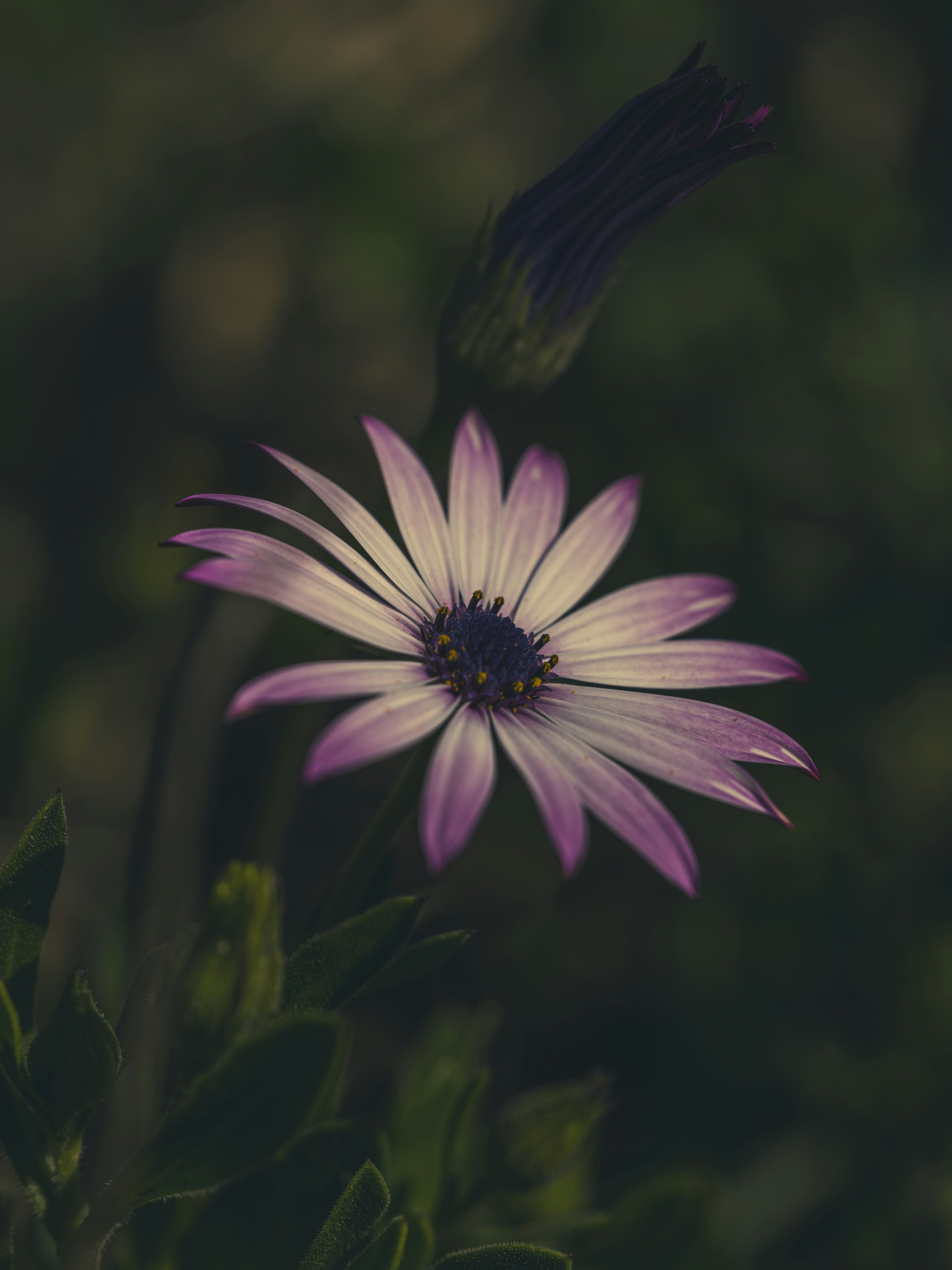 Photo by enginakyurt