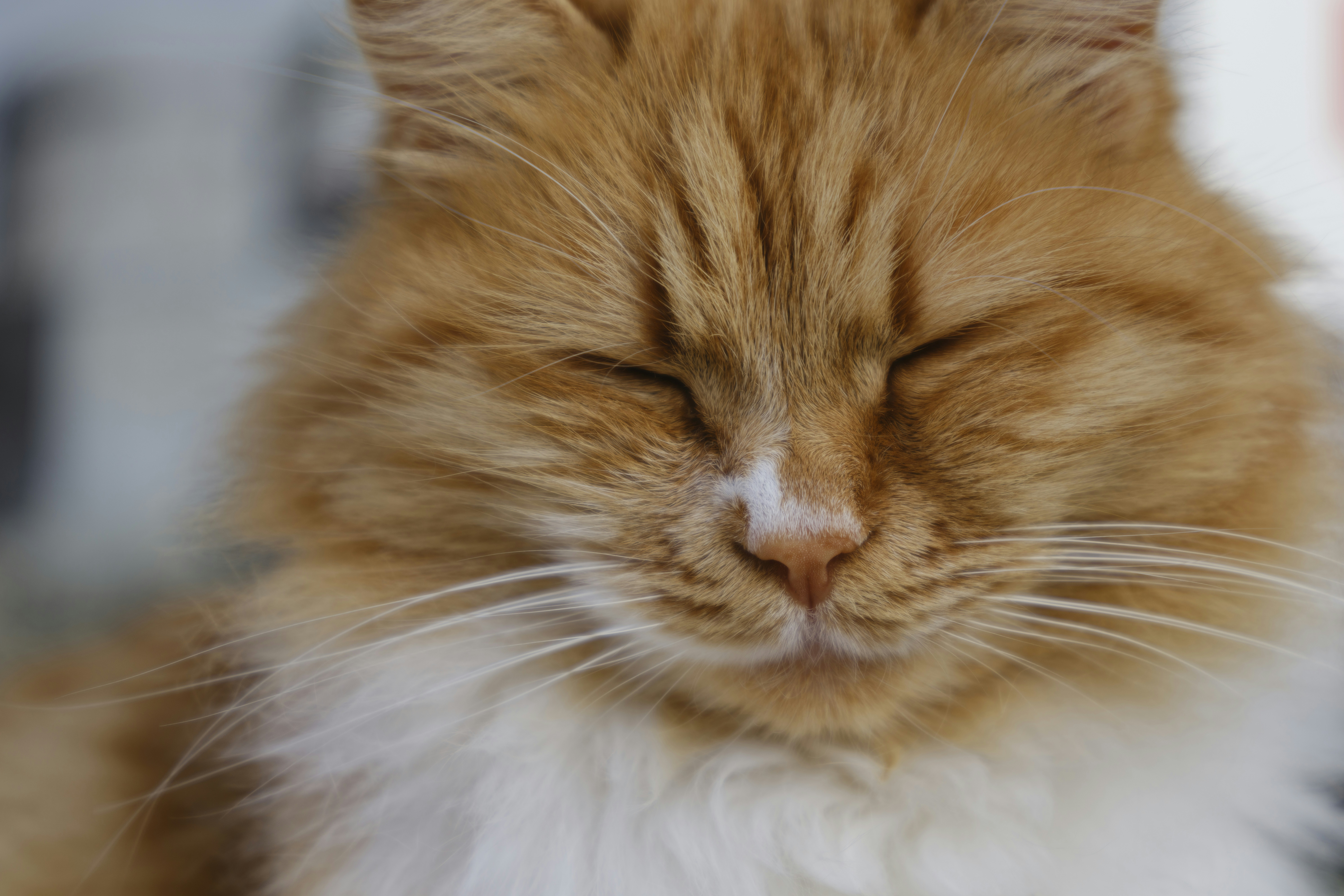 Photo by enginakyurt