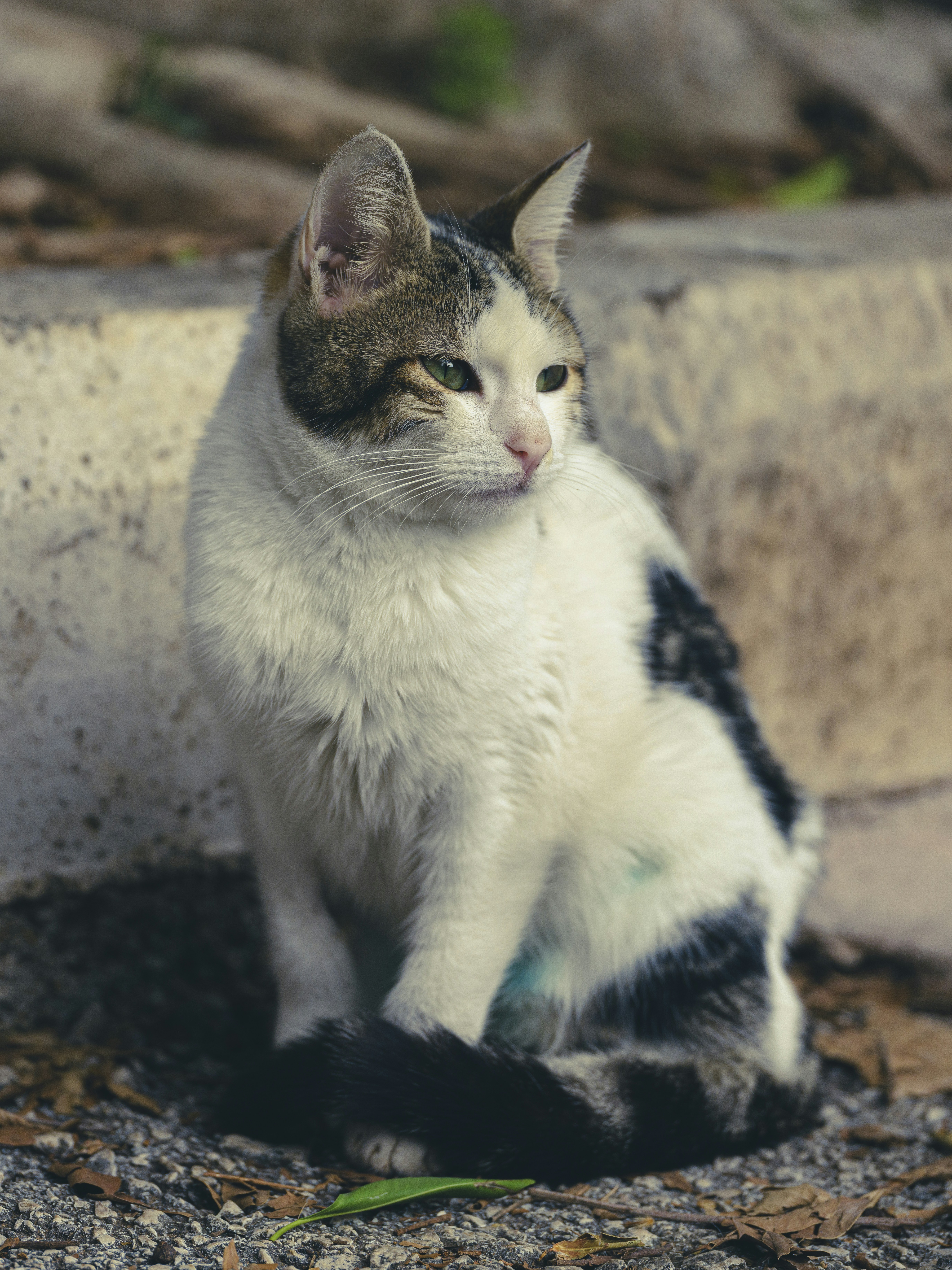 Photo by enginakyurt