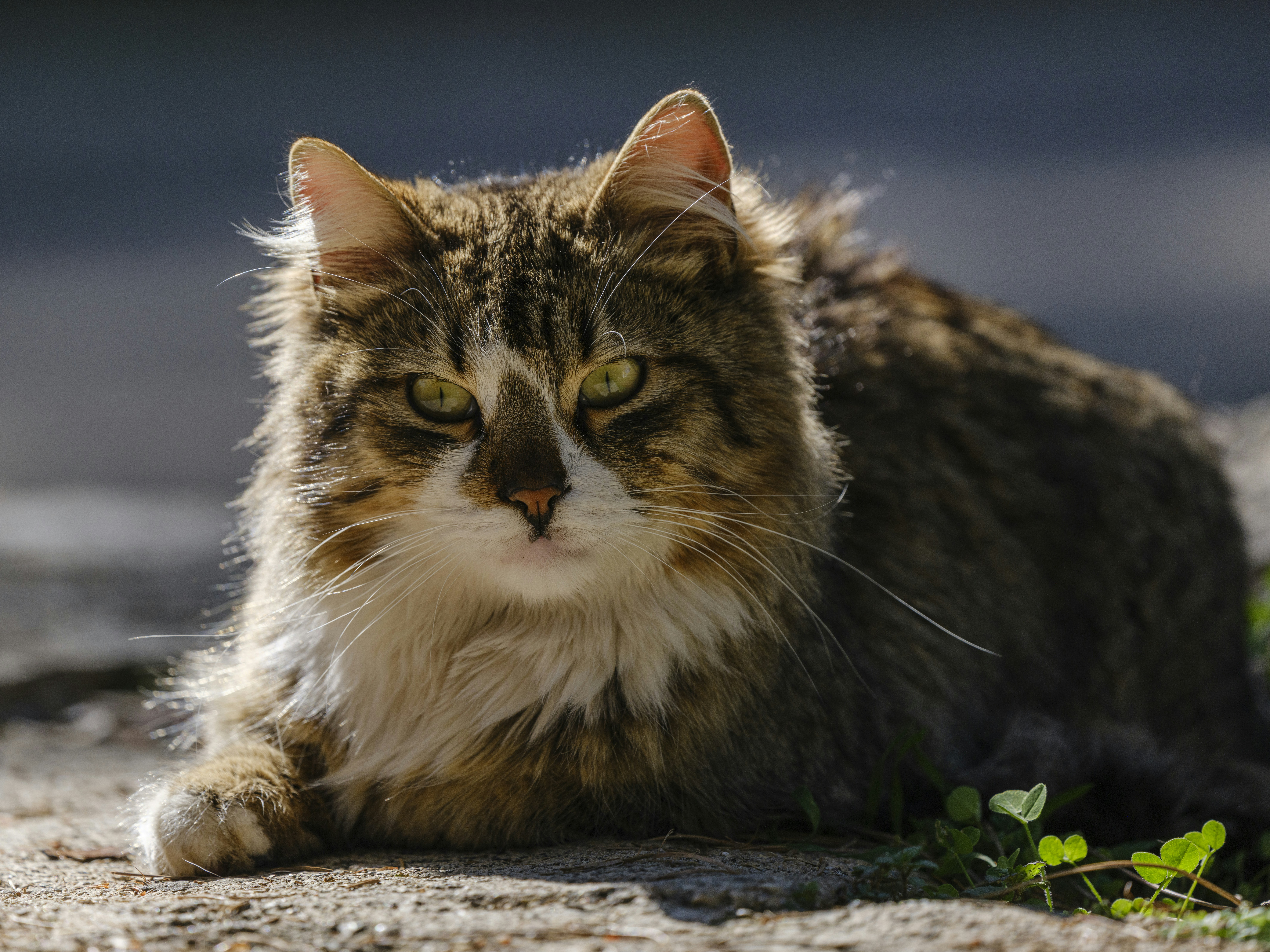 Photo by enginakyurt