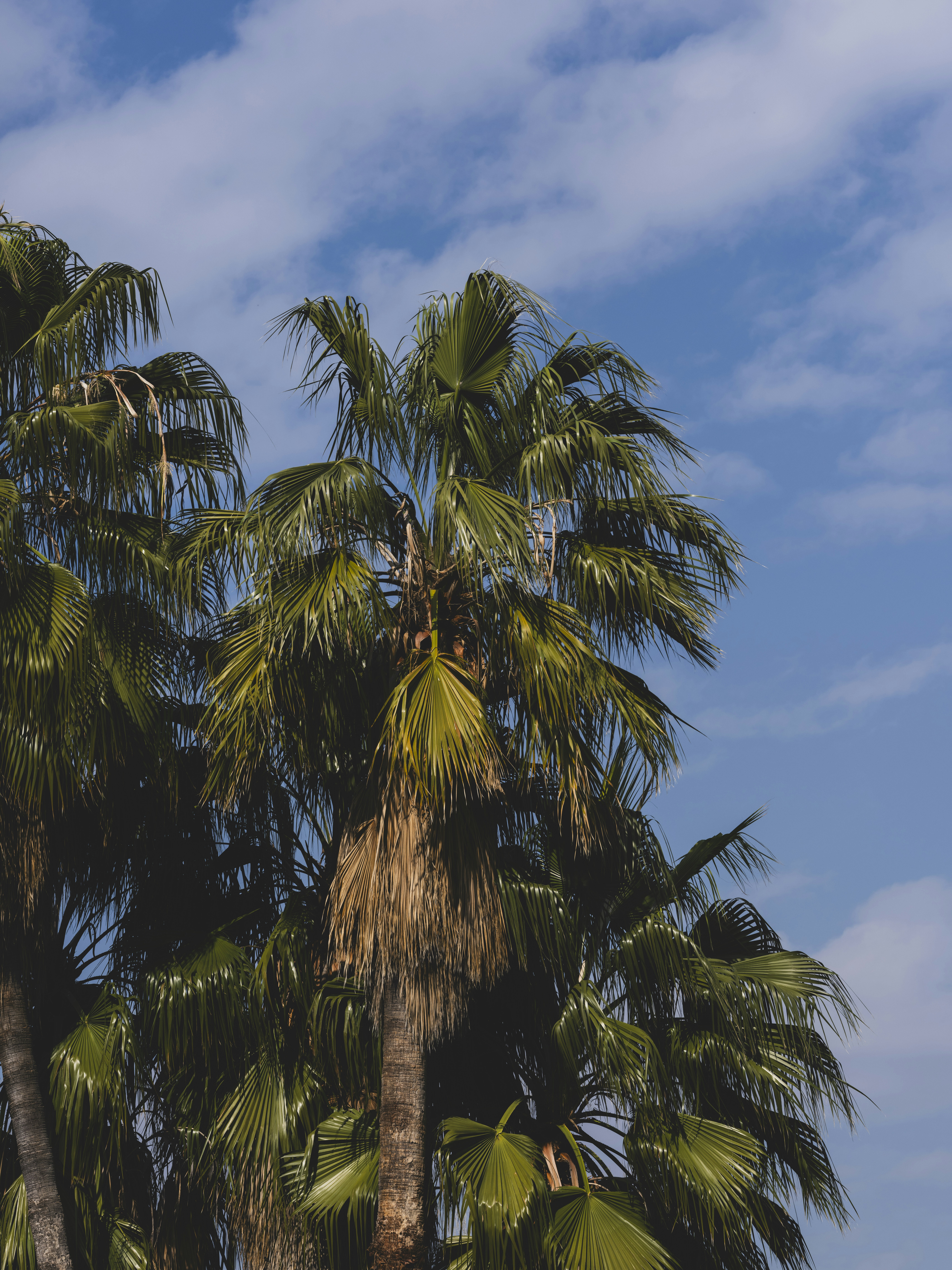 Photo by enginakyurt