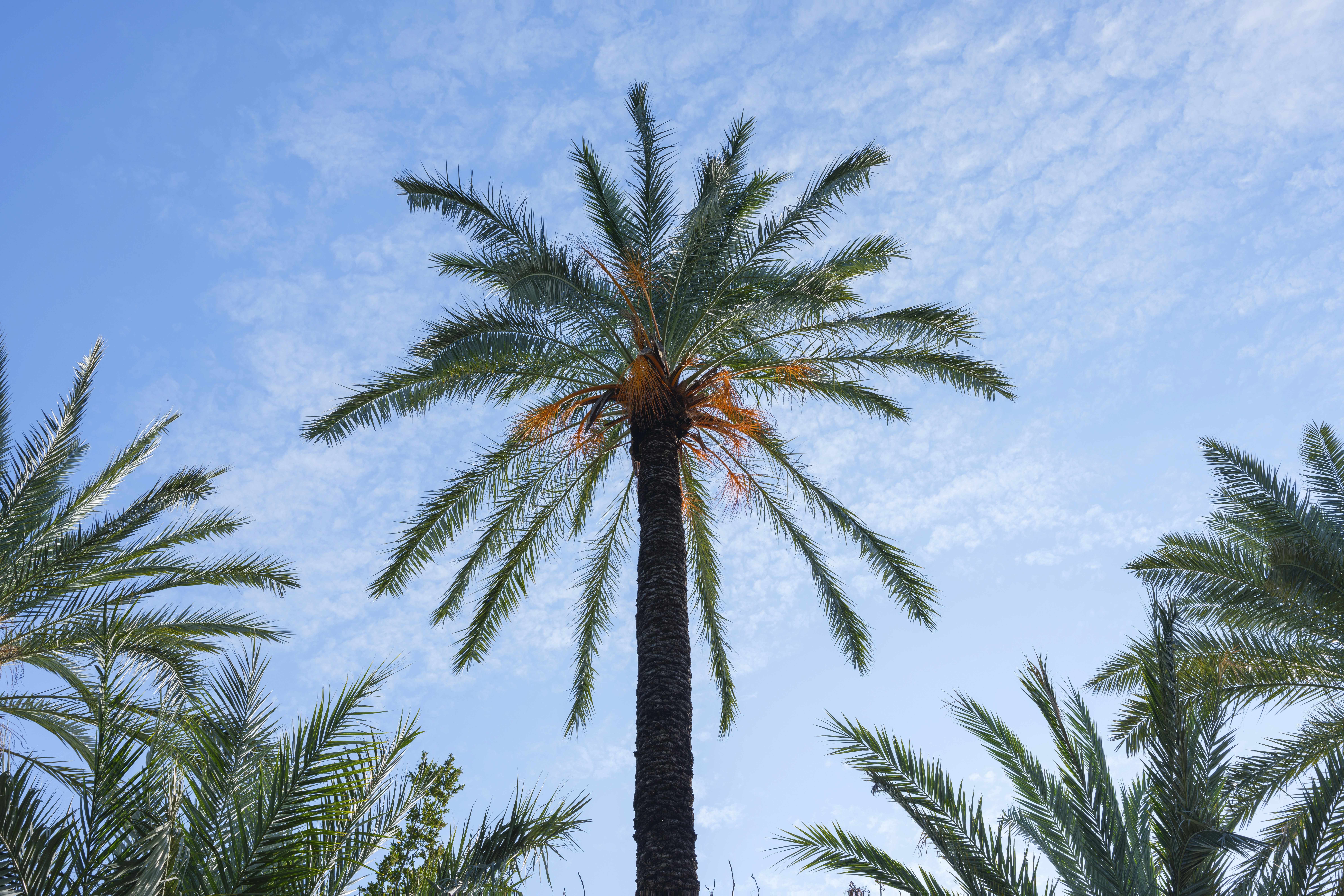 Photo by enginakyurt