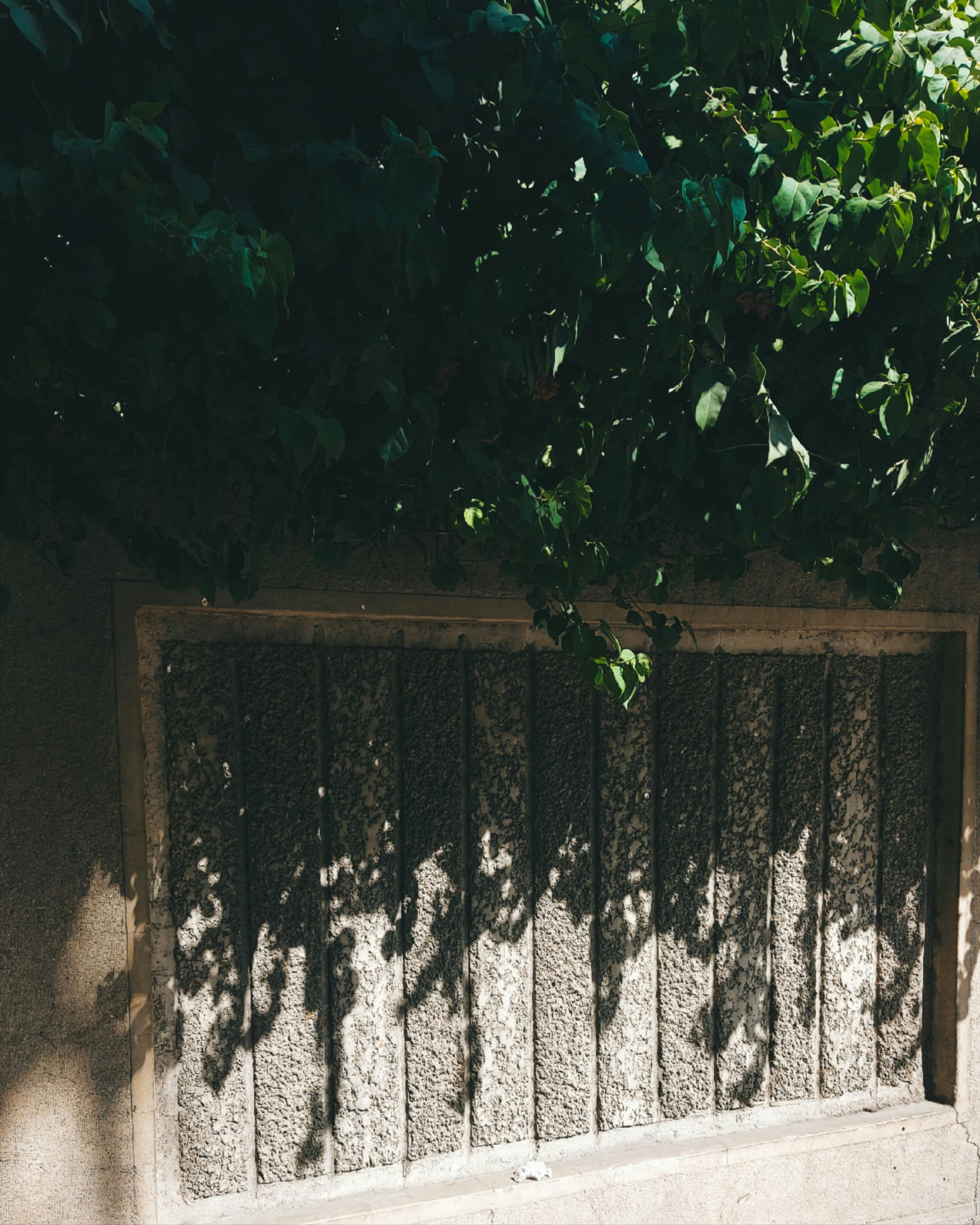 Photo by mustafaemad14