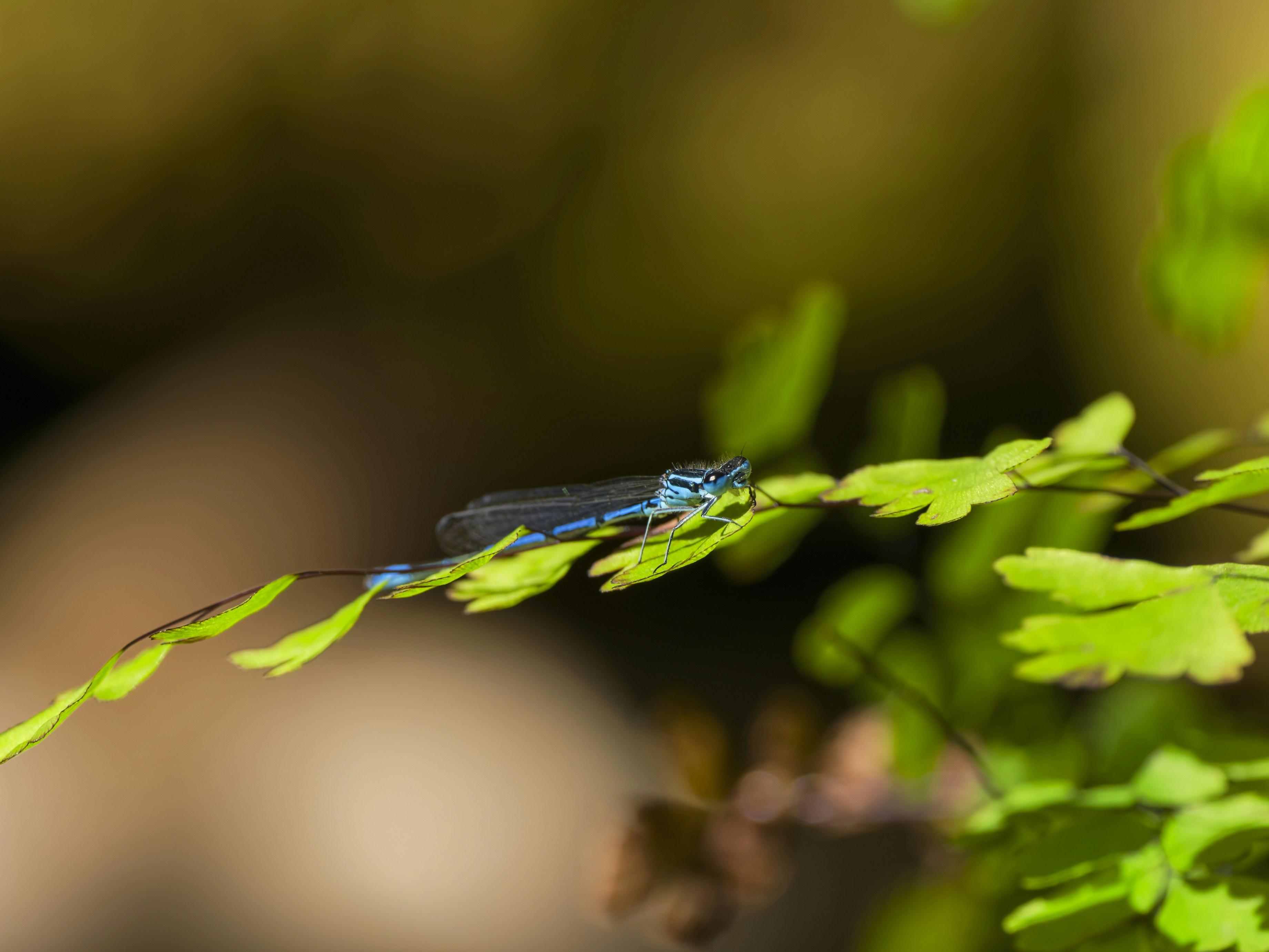 Photo by enginakyurt