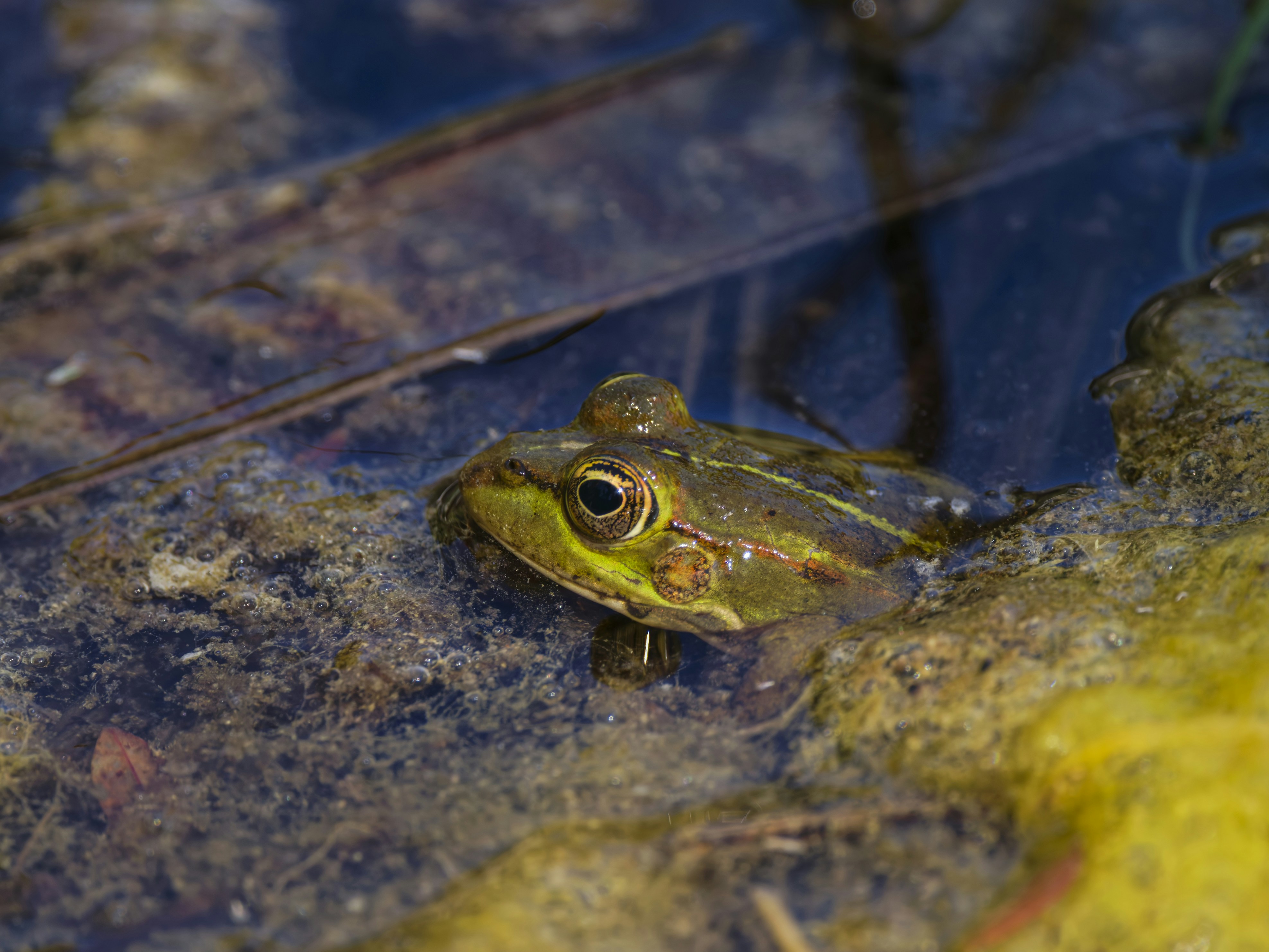 Photo by enginakyurt