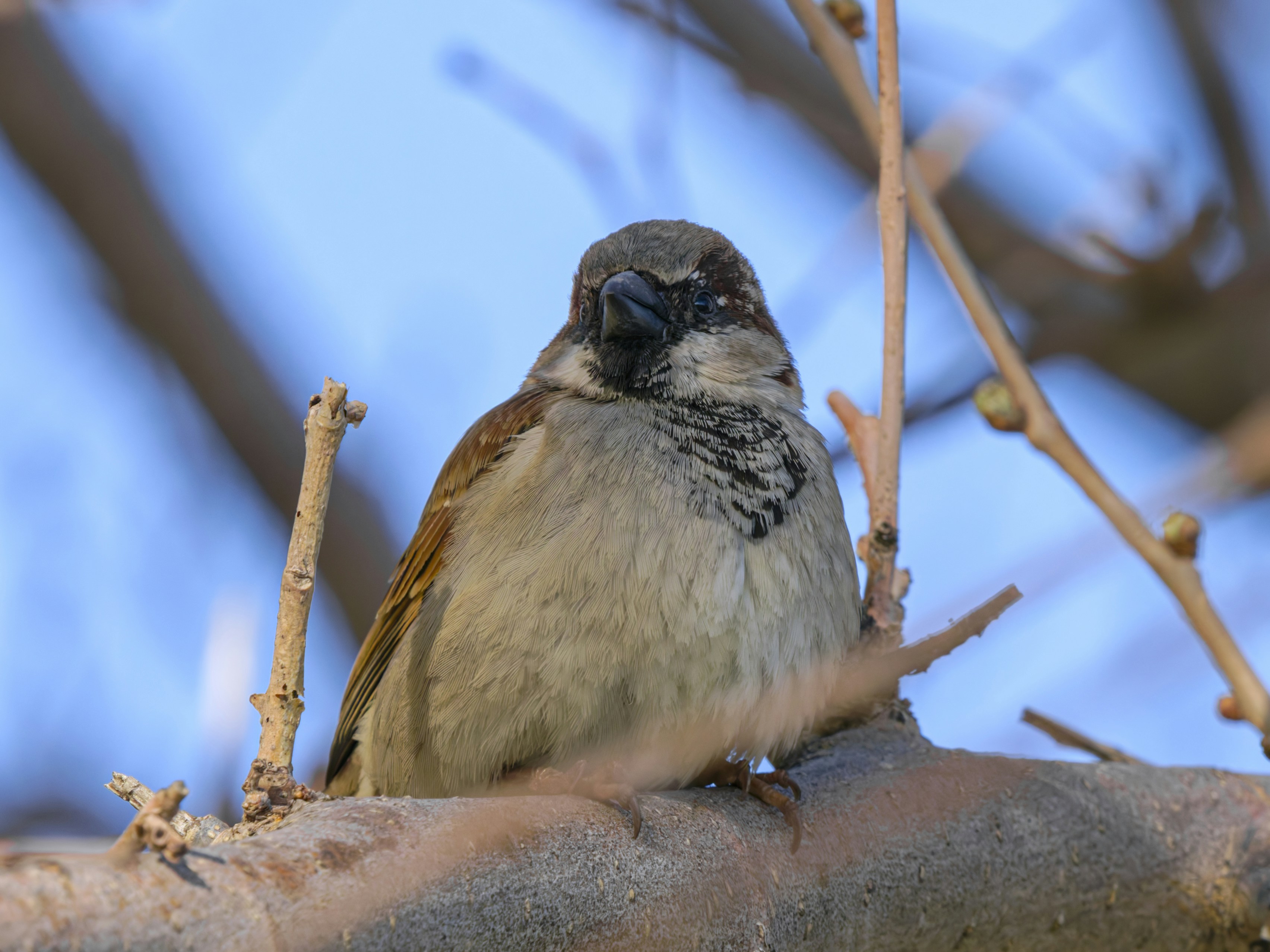 Photo by enginakyurt