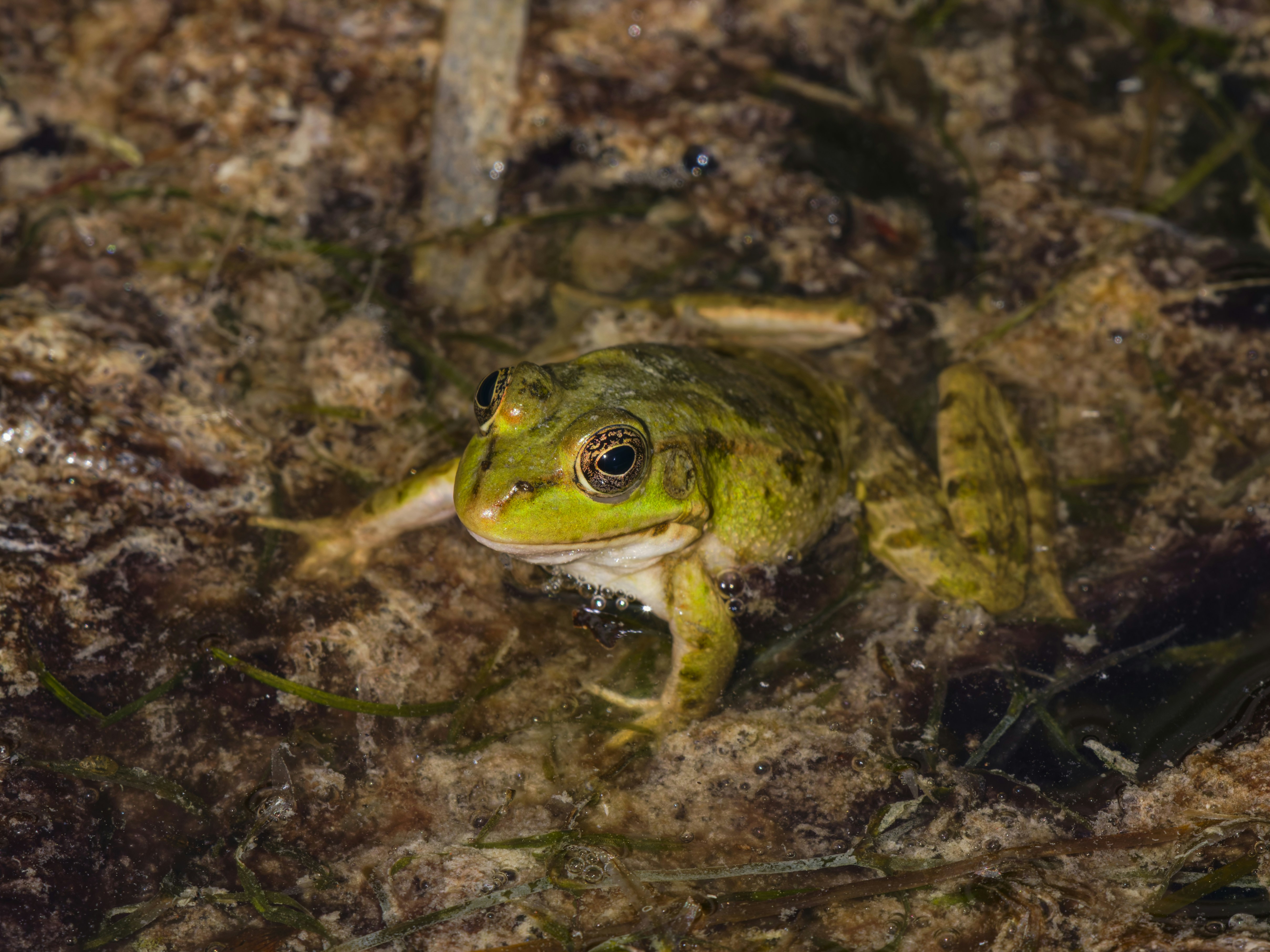Photo by enginakyurt